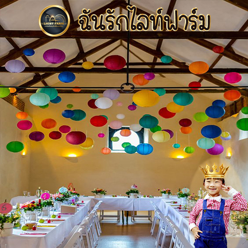 โคมกระดาษ , พู่กระดาษ ,ธงราวปาร์ตี้ ของตกแต่งแบบต่างๆ