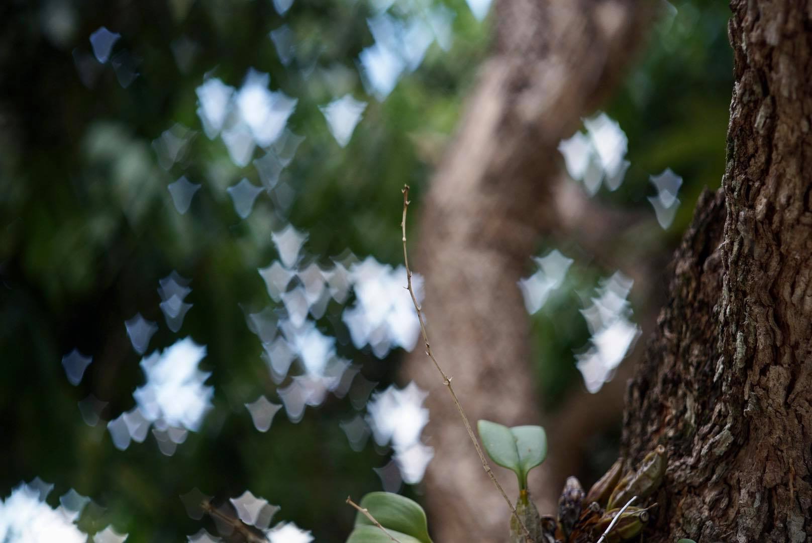 KONICA HEXANON 45MM.F1.8 MODIFIED SONY E MOUNT