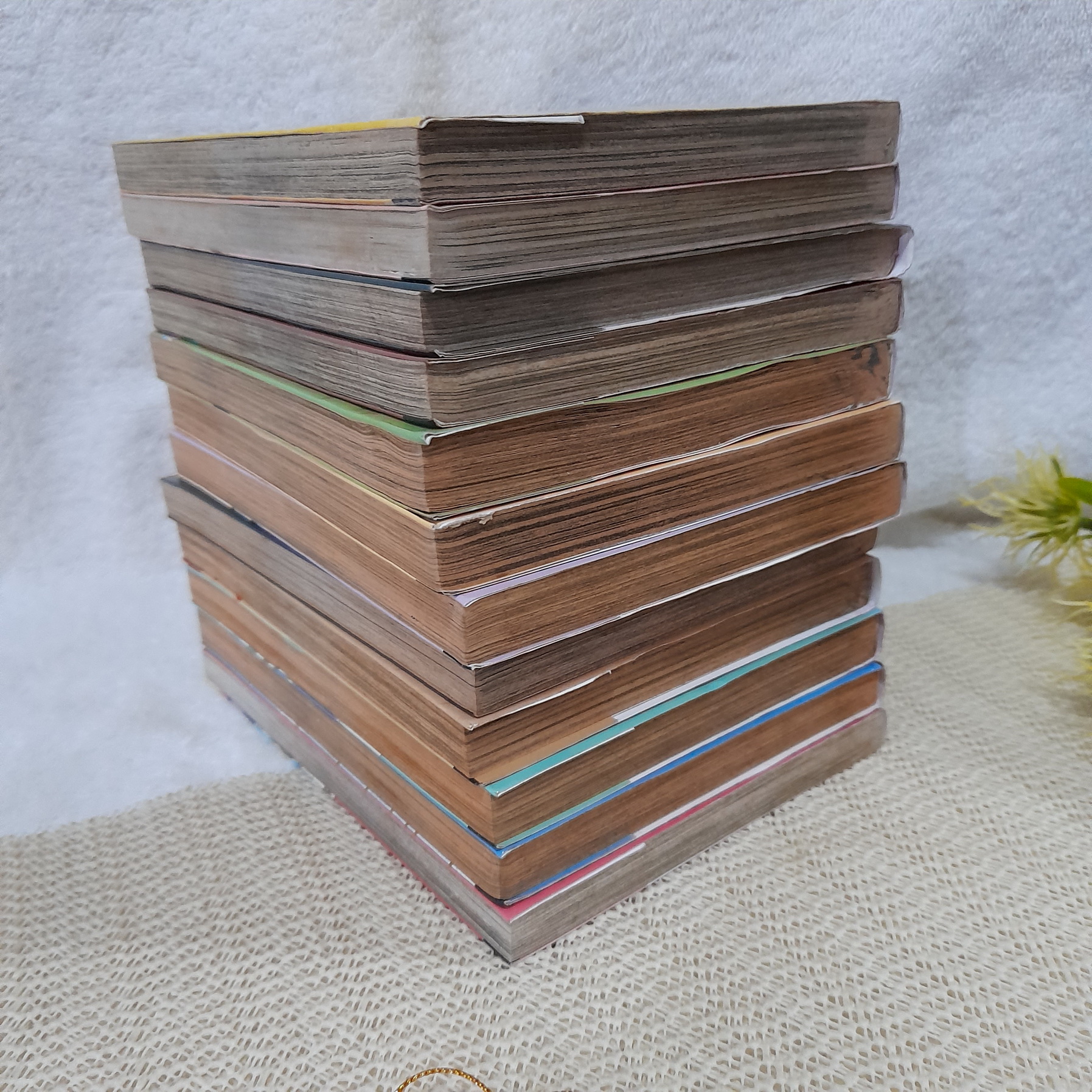 ภูตพรายกับนายหมอผี 1-15 จบ