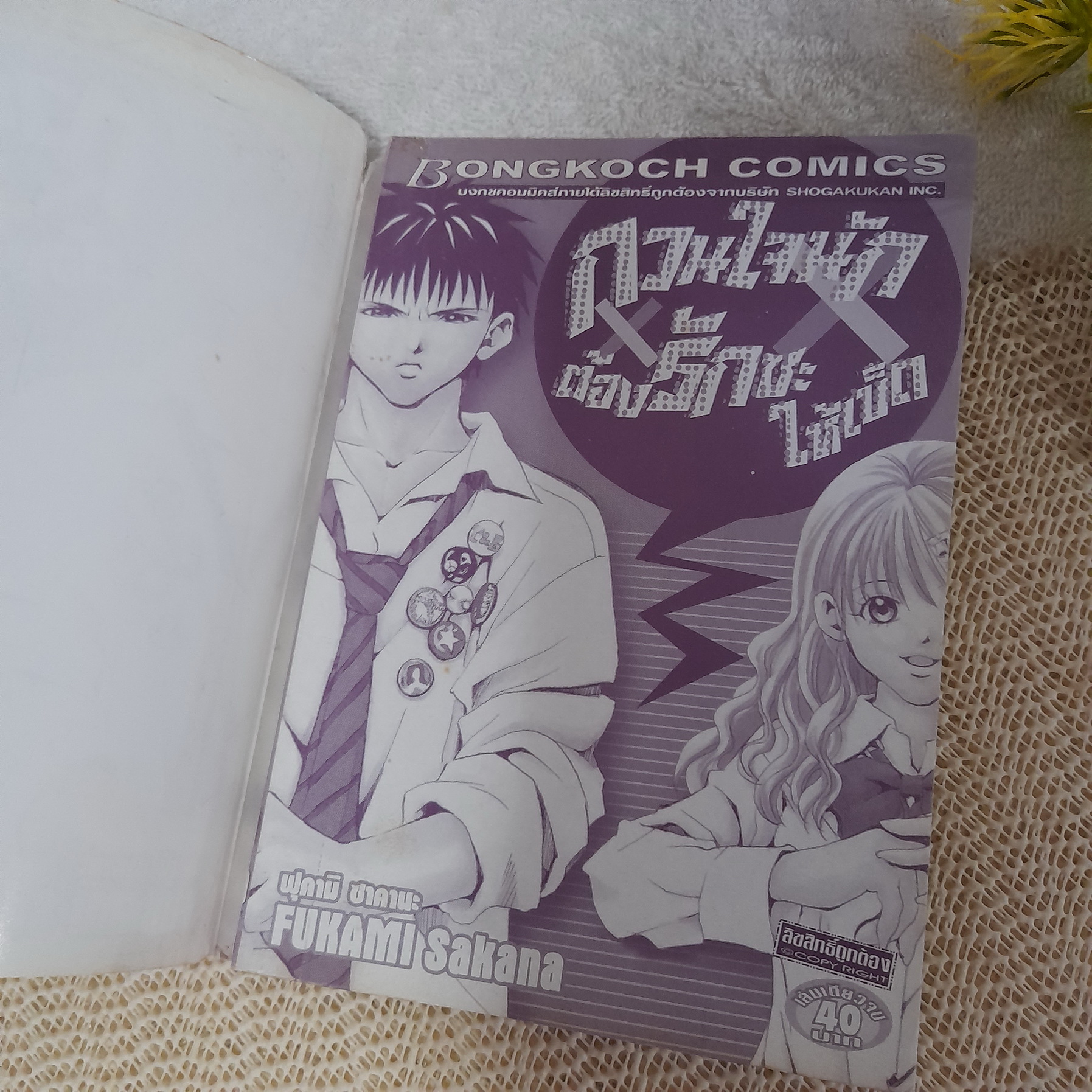 กวนใจนักต้องรักซะให้เข็ด / Fukami Sakana