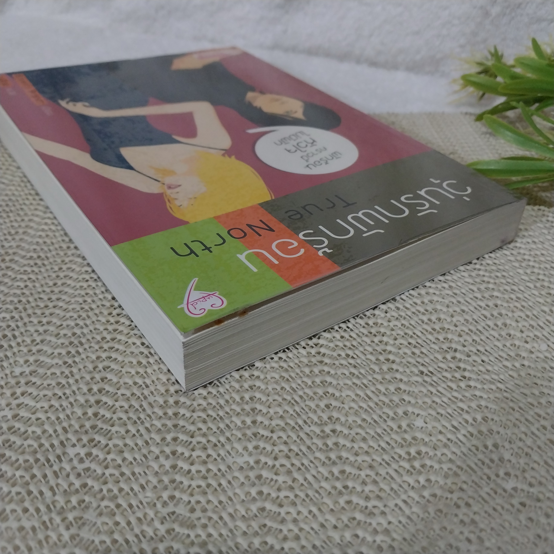 วุ่นรักพักร้อน (True North) / Beverly Brandt