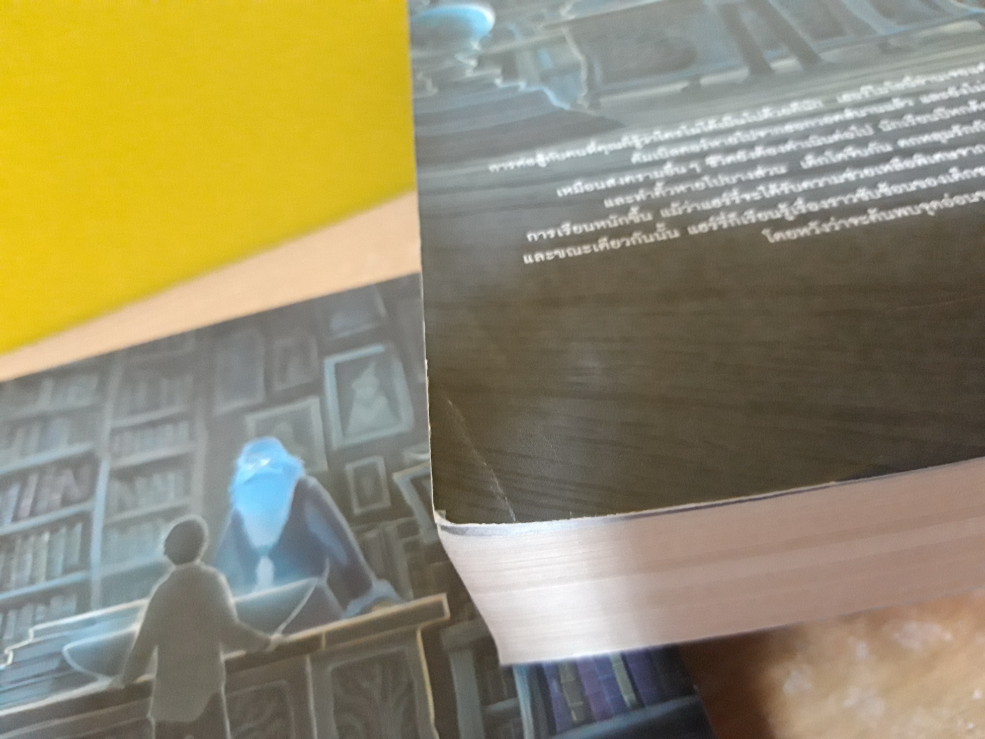 แฮร์รี่ พอตเตอร์ กับ เจ้าชายเลือดผสม