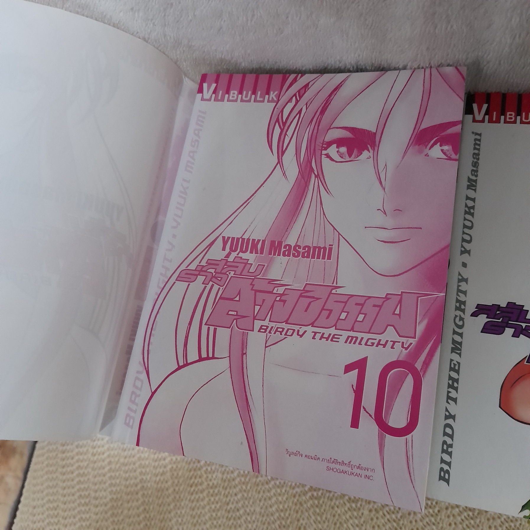 สลับร่างล้างอธรรม 1-20 จบ / *ขาดเล่ม 18