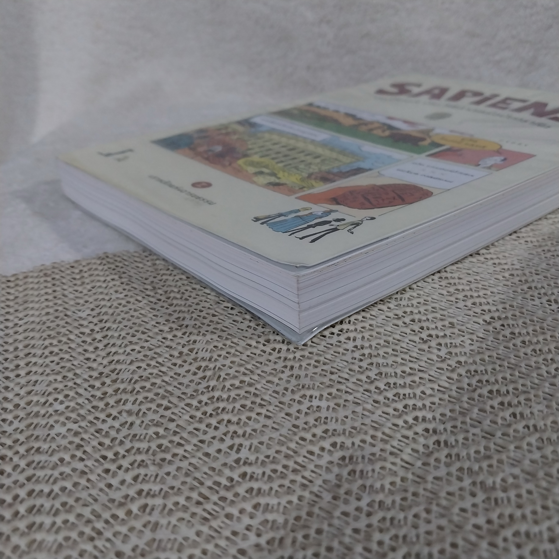 SAPIENS เซเปียนส์ ประวัติศาสตร์ฉบับกราฟิก : เสาหลักแห่งอารยธรรม เล่ม 2