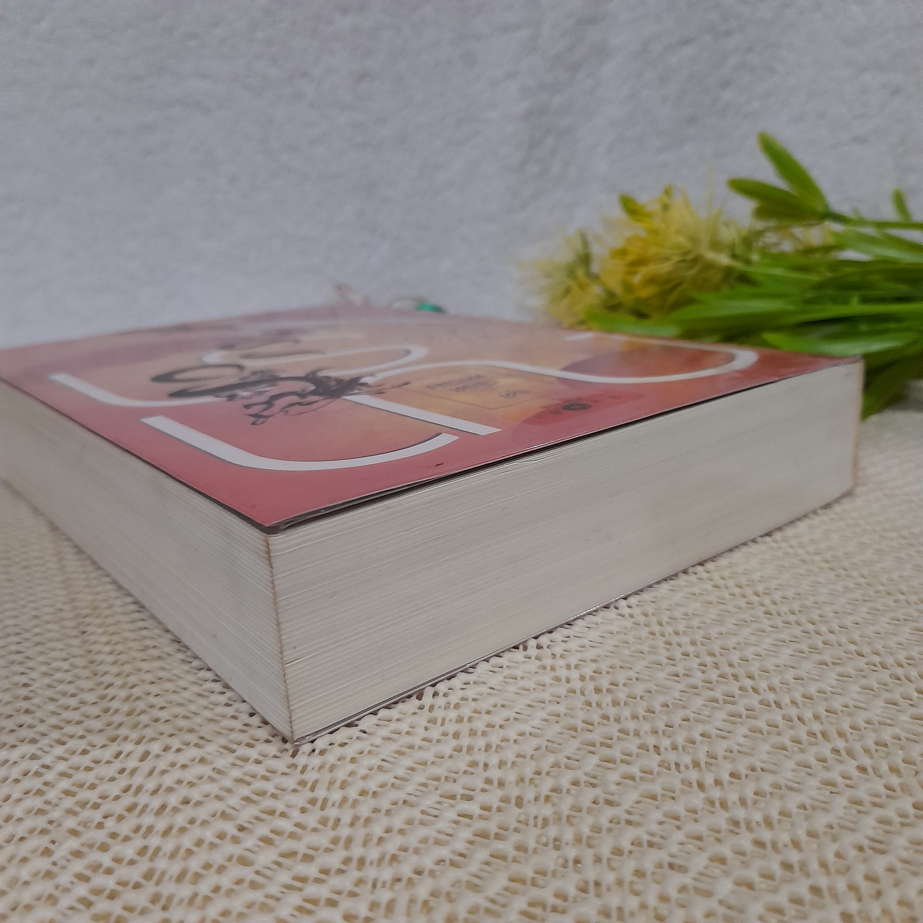 ไฟรักมังกร / ณารา