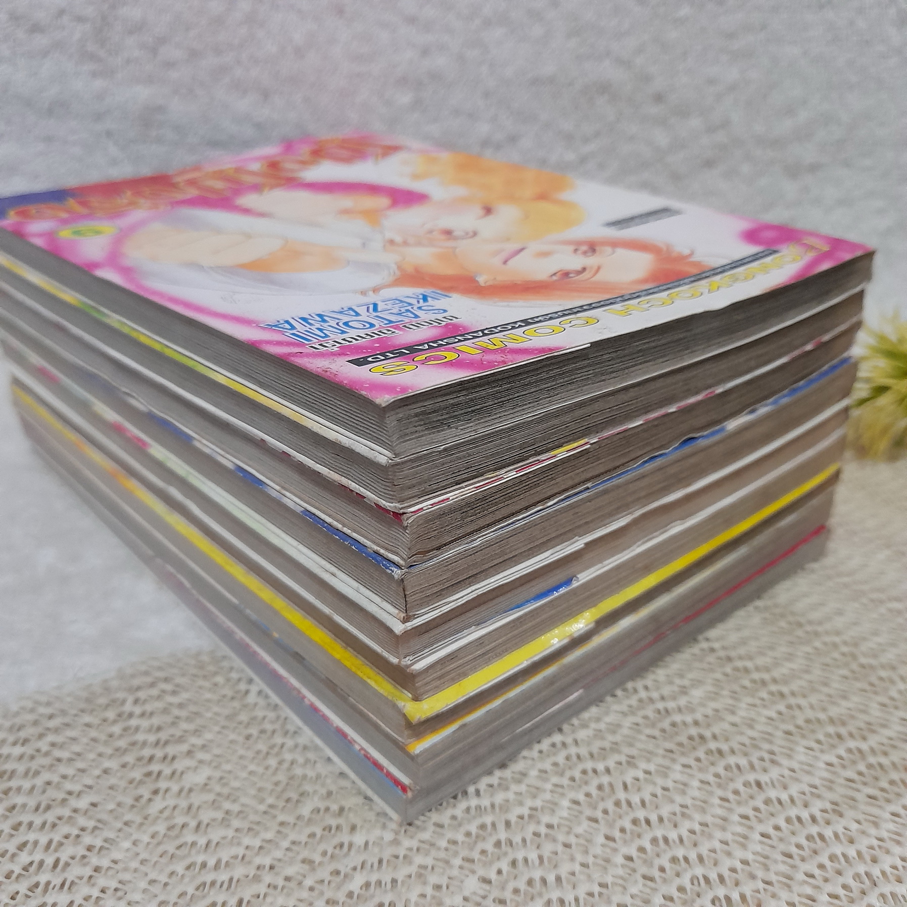 โปง โปง จัง 1-9 จบ