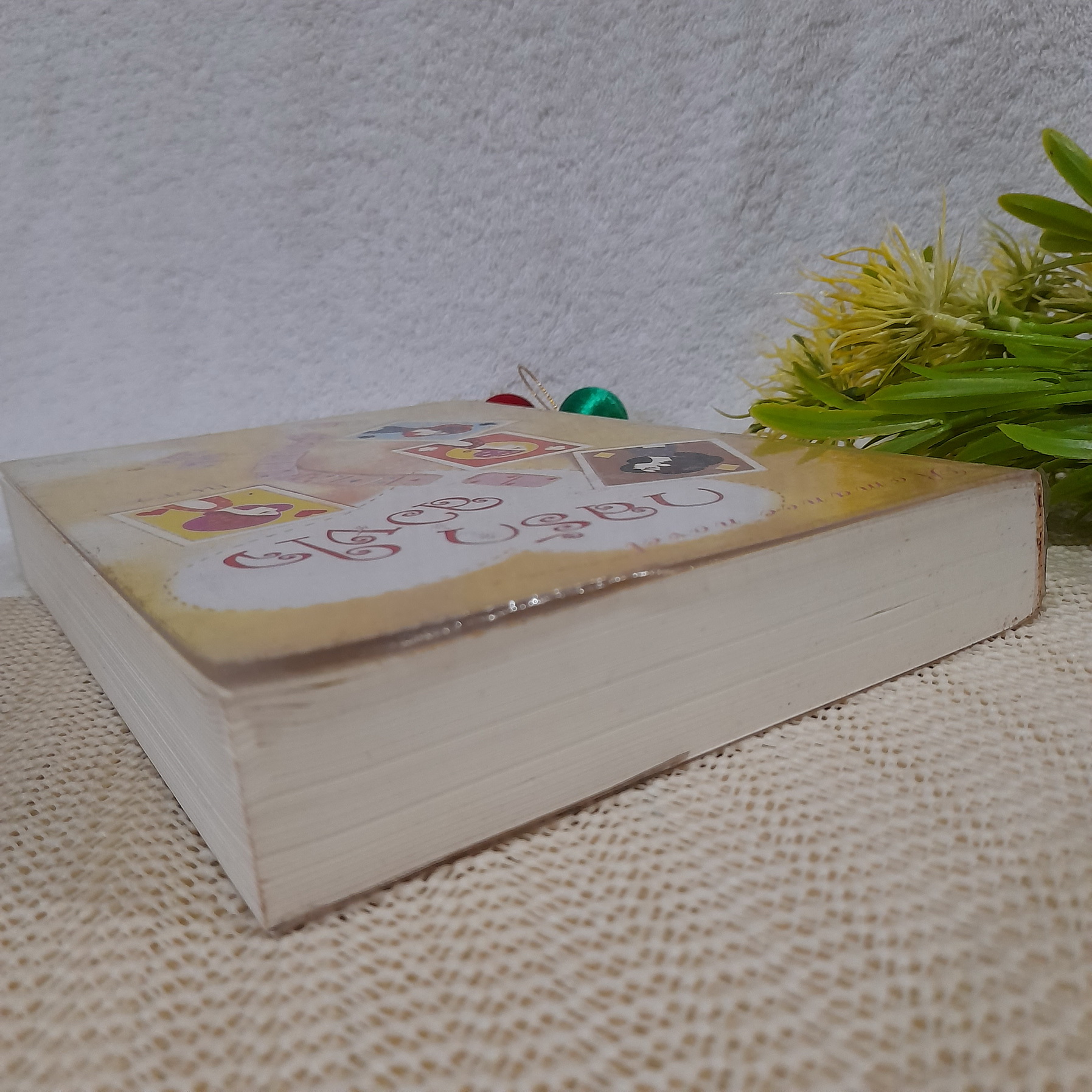 กลรักลวงใจ / ณารา