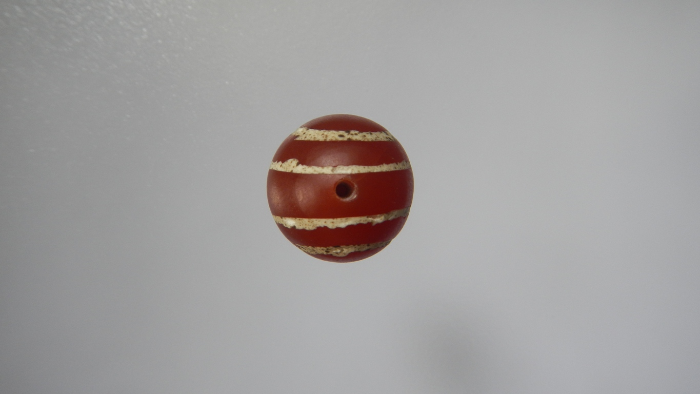 คาเนเลียนเขียนสีเม็ดที่2(ขายแล้ว)