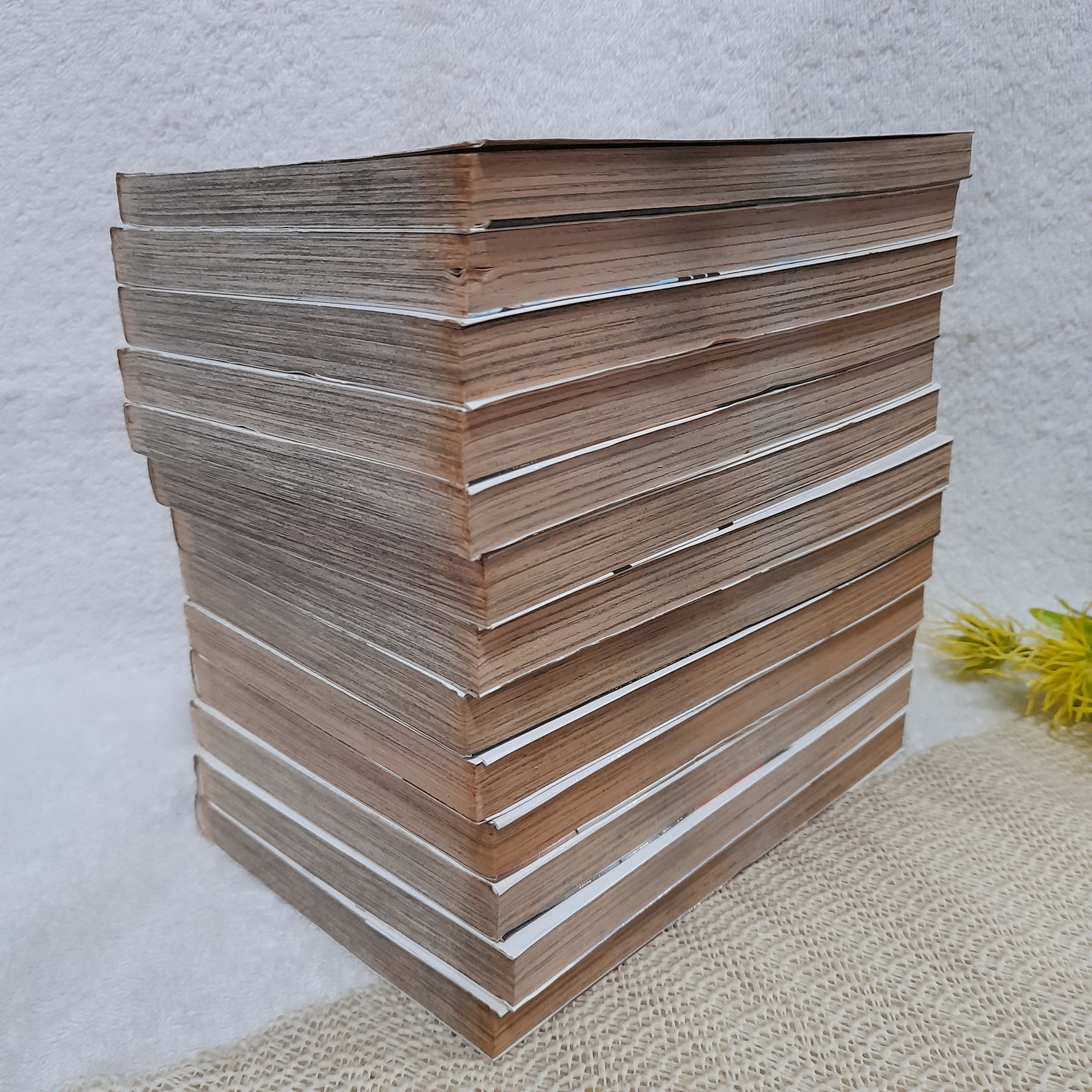 ยินเซ คนดุหัวใจบริสุทธิ์ เล่ม 1-15 จบ / * ขาดเล่ม 9,10