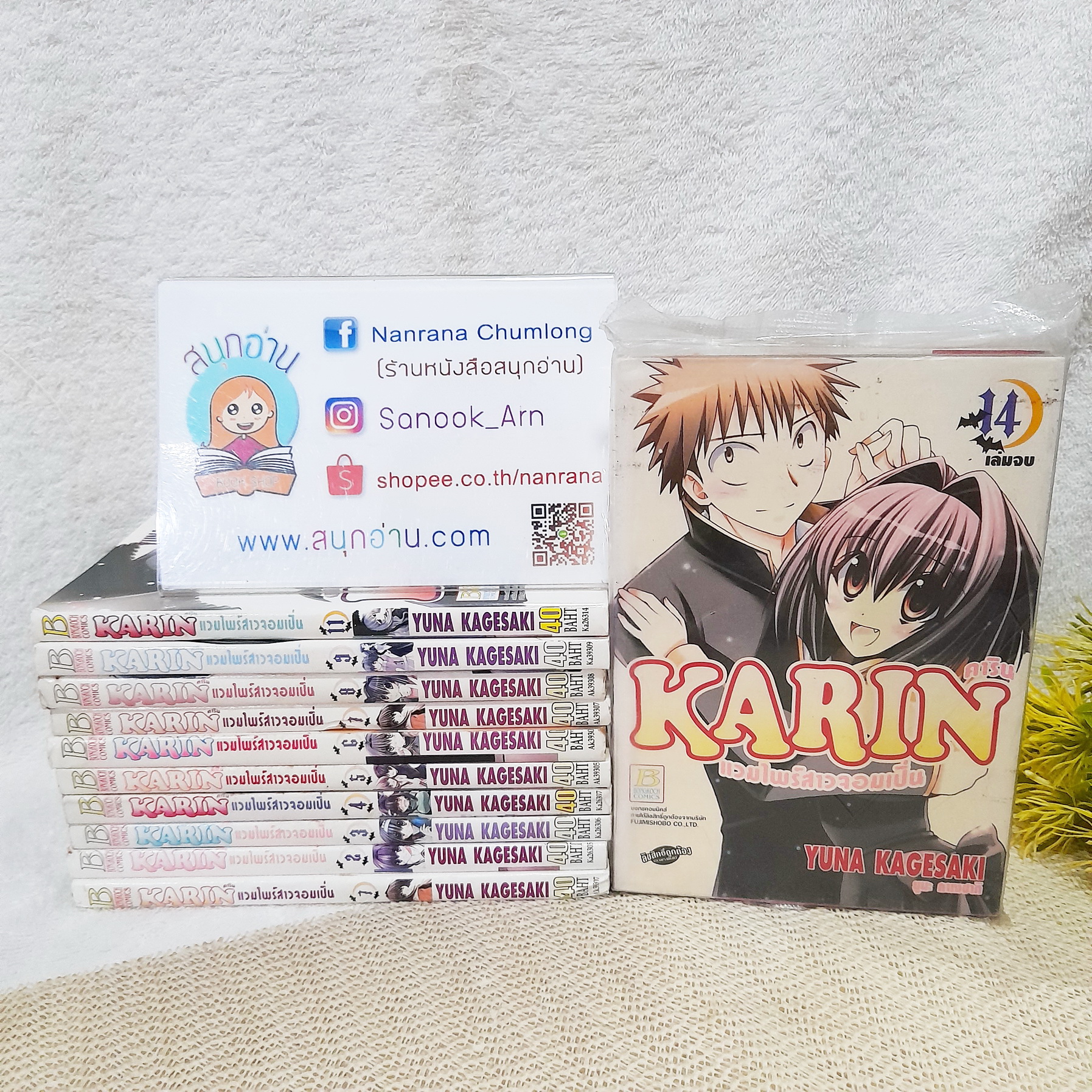KARIN คาริน แวมไพร์สาวจอมเปิ่น 1-9,11,14 จบ / * ขาดเล่ม 10,12,13