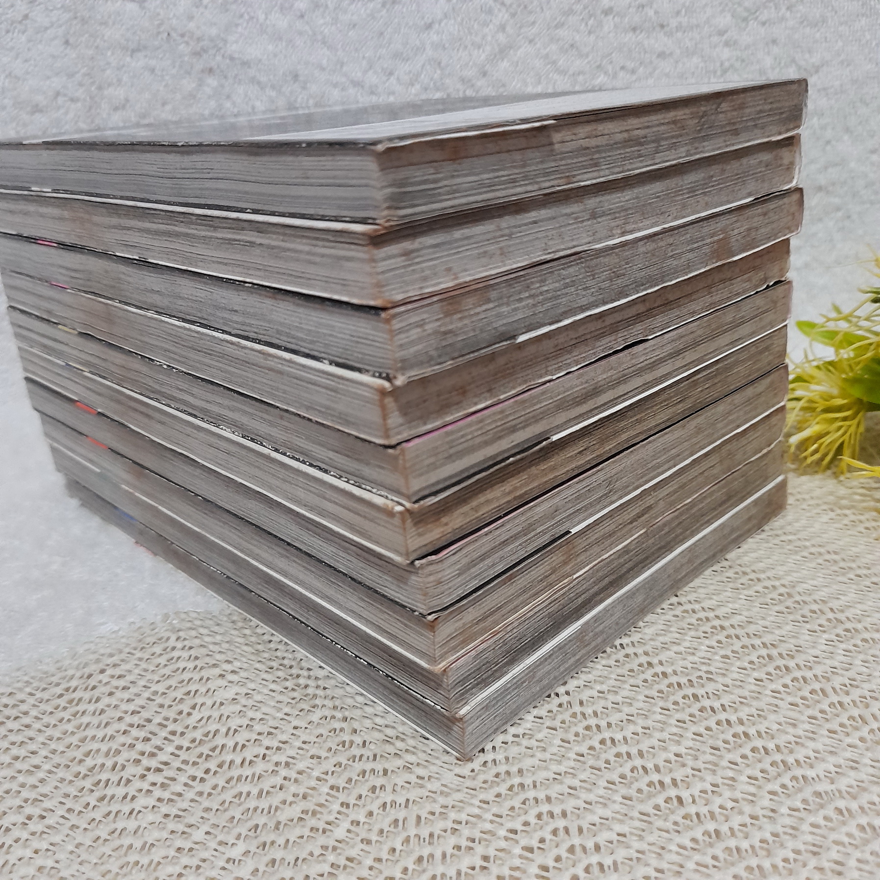 Monochrome factor 1-10 ไม่จบ / * ขาดเล่ม 11