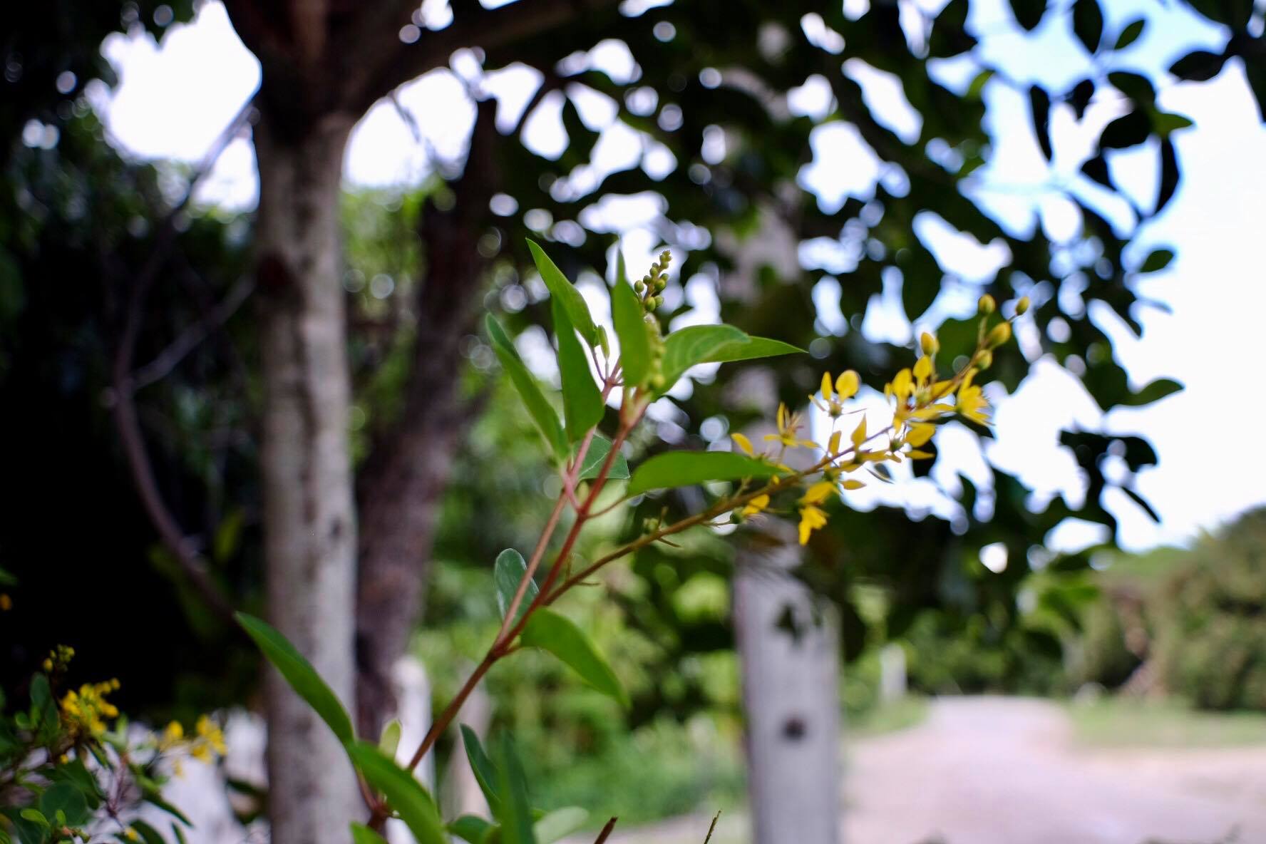 SUPER-MULTI-COATED TAKUMAR 28MM.F3.5