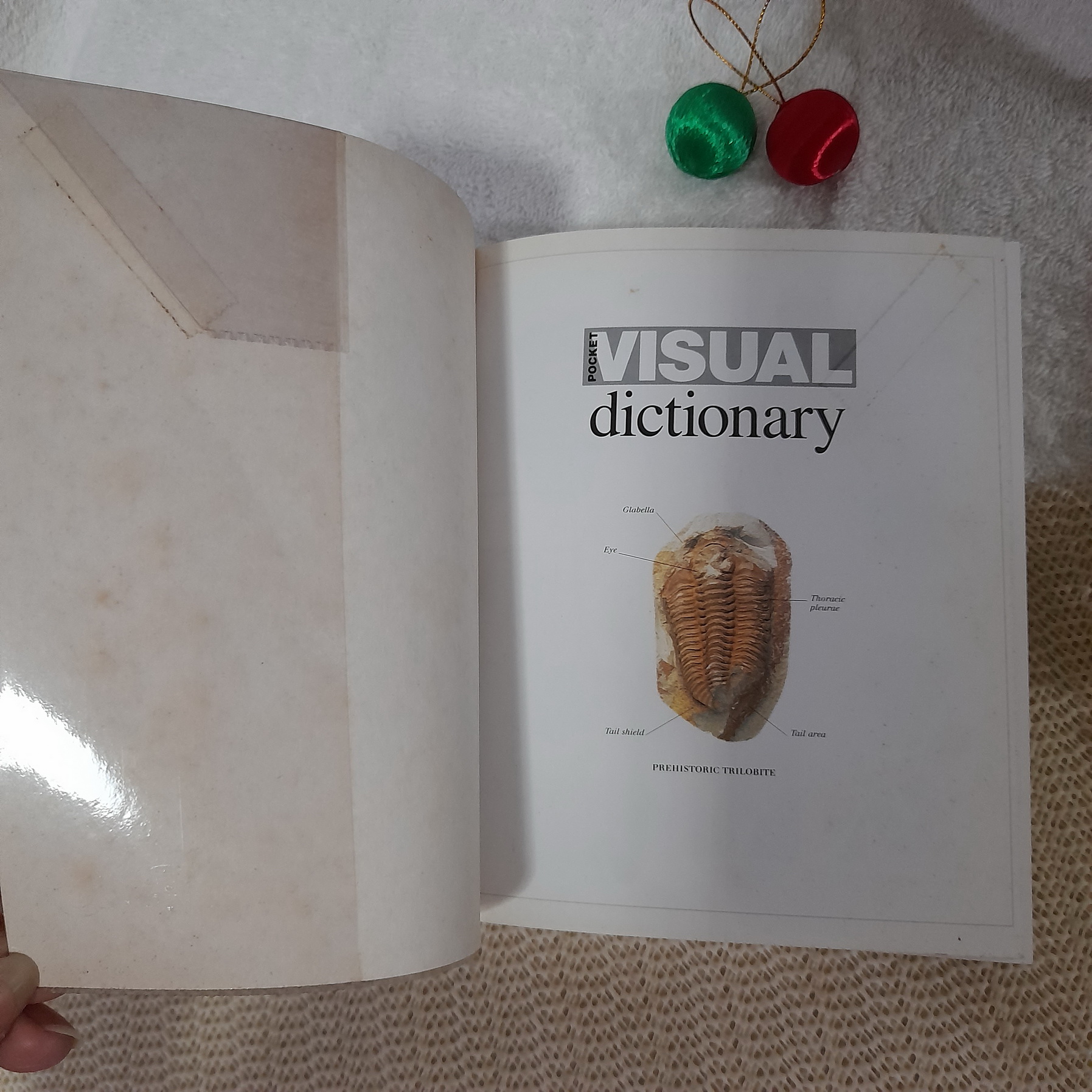 Visual (Dictionary ภาพ ภาษาอังกฤษ )