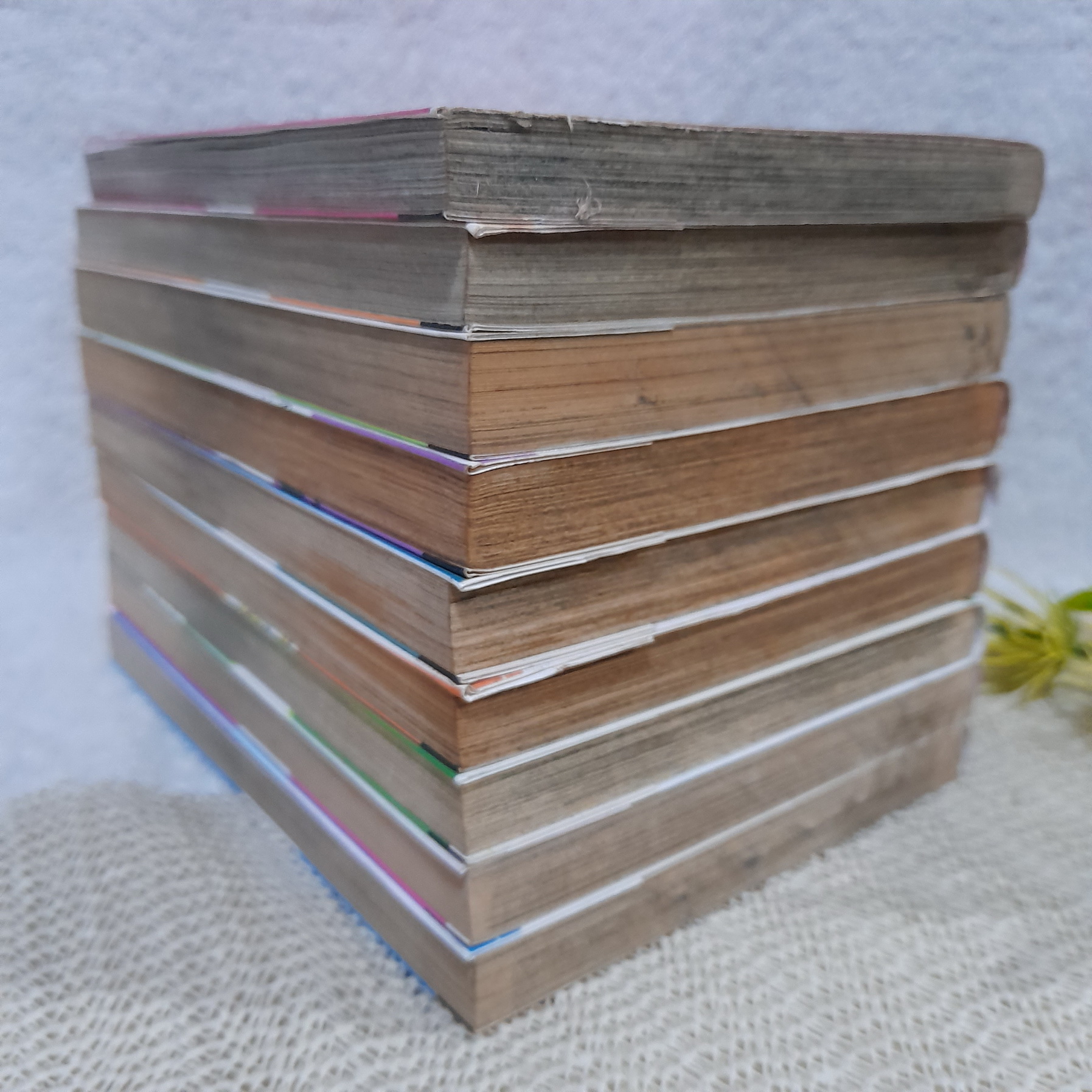 Vector Case Files ผ่าคดีแมลงพิศวง 1-10 จบ / * ขาดเล่ม 5