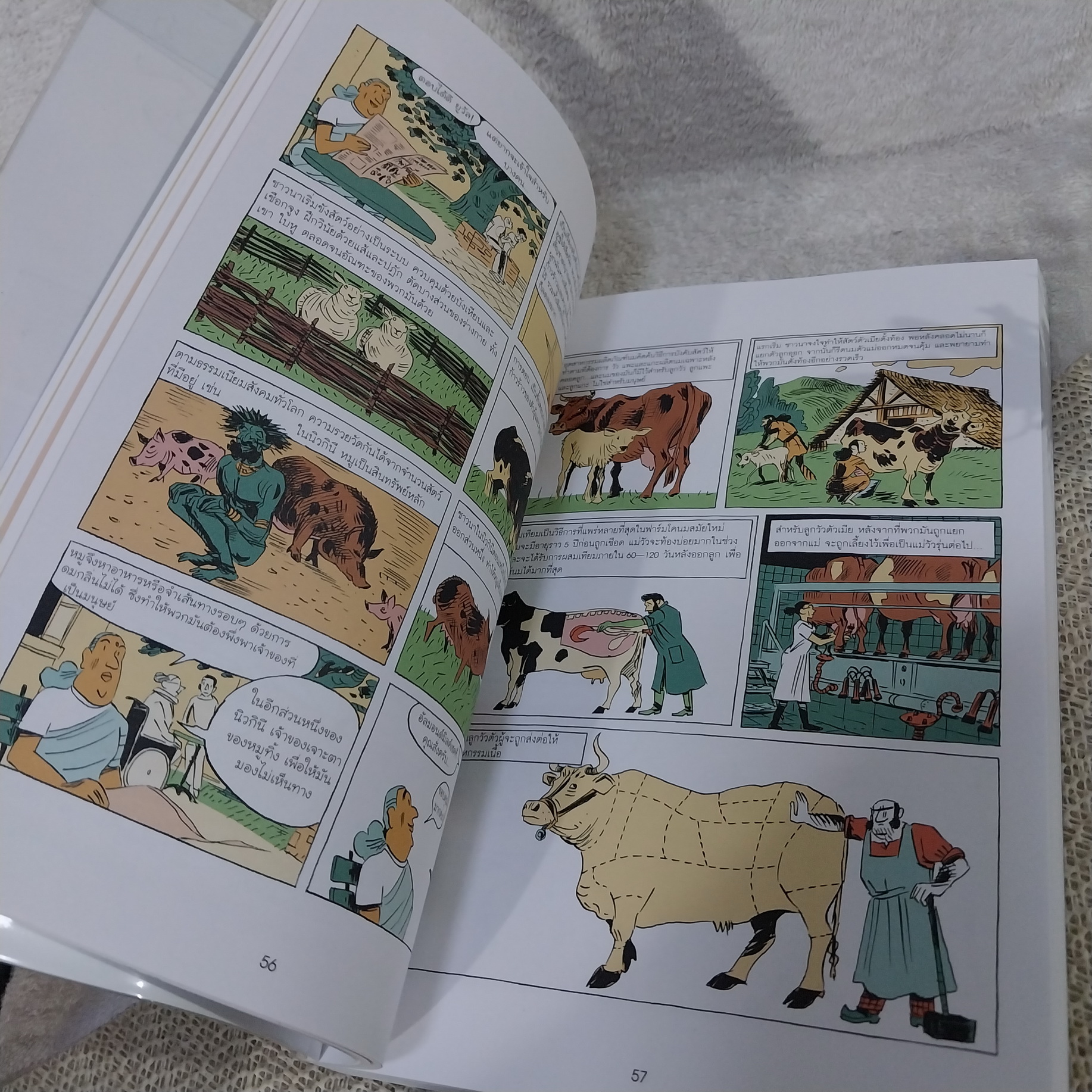 SAPIENS เซเปียนส์ ประวัติศาสตร์ฉบับกราฟิก : เสาหลักแห่งอารยธรรม เล่ม 2