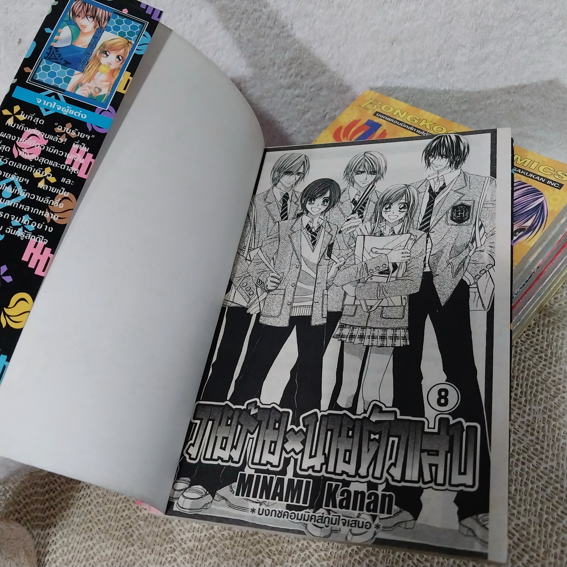 วายร้ายนายตัวแสบ 1-8 จบ / Minami Kanan