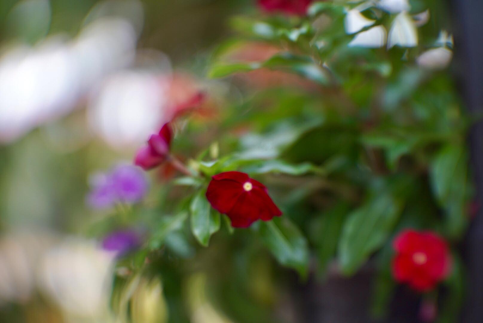 KP-109-1A 50MM.F1.2 MODIFLY E MOUNT
