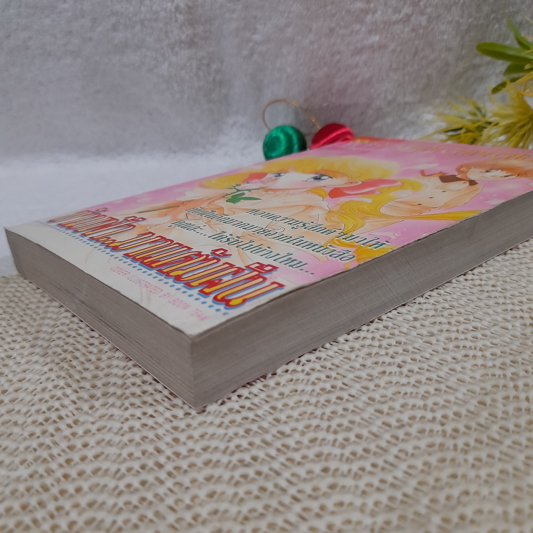 ข้ามฟ้ามาแต้มฝัน