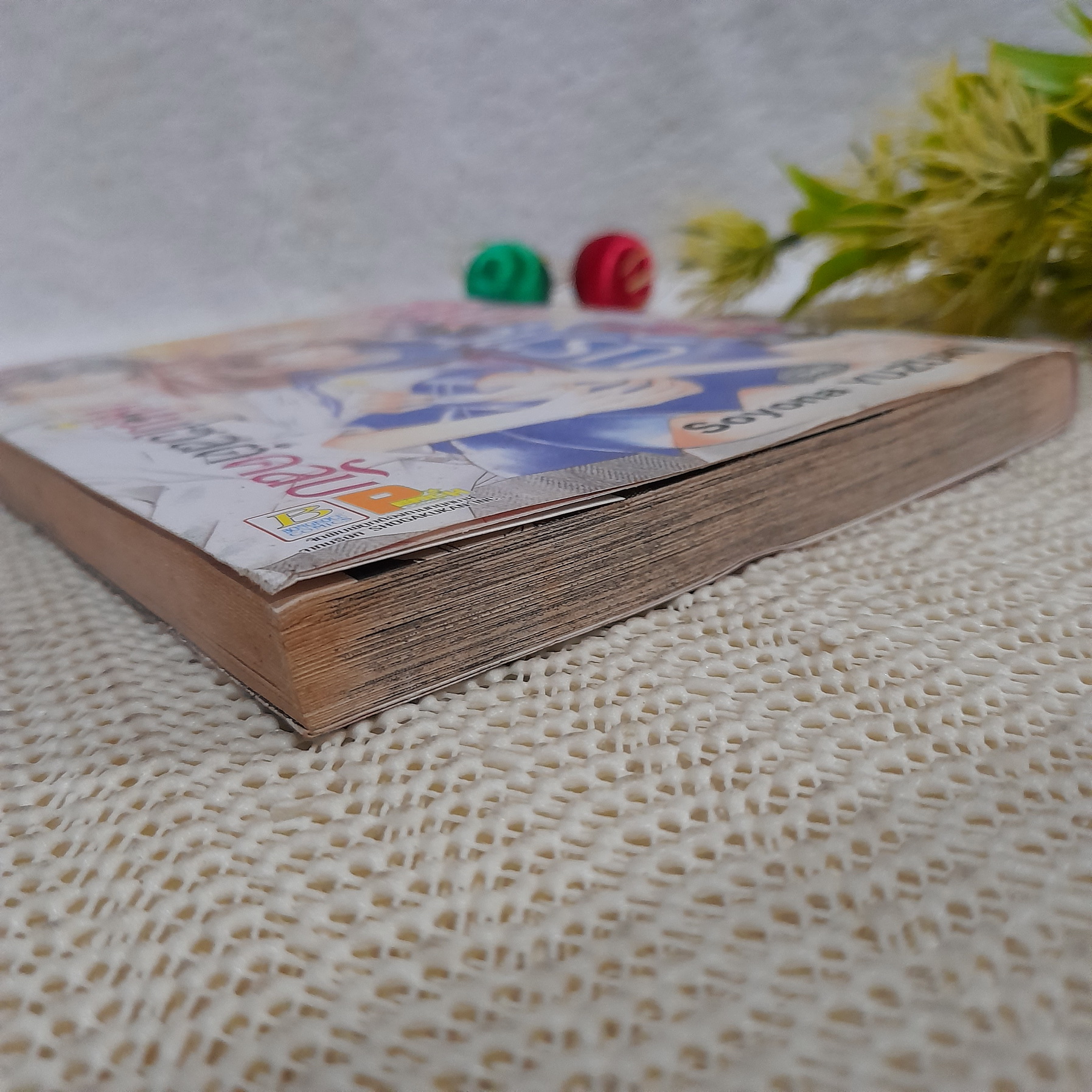 ชุลมุนวุ่นรักหนุ่มโฮสต์คลับ