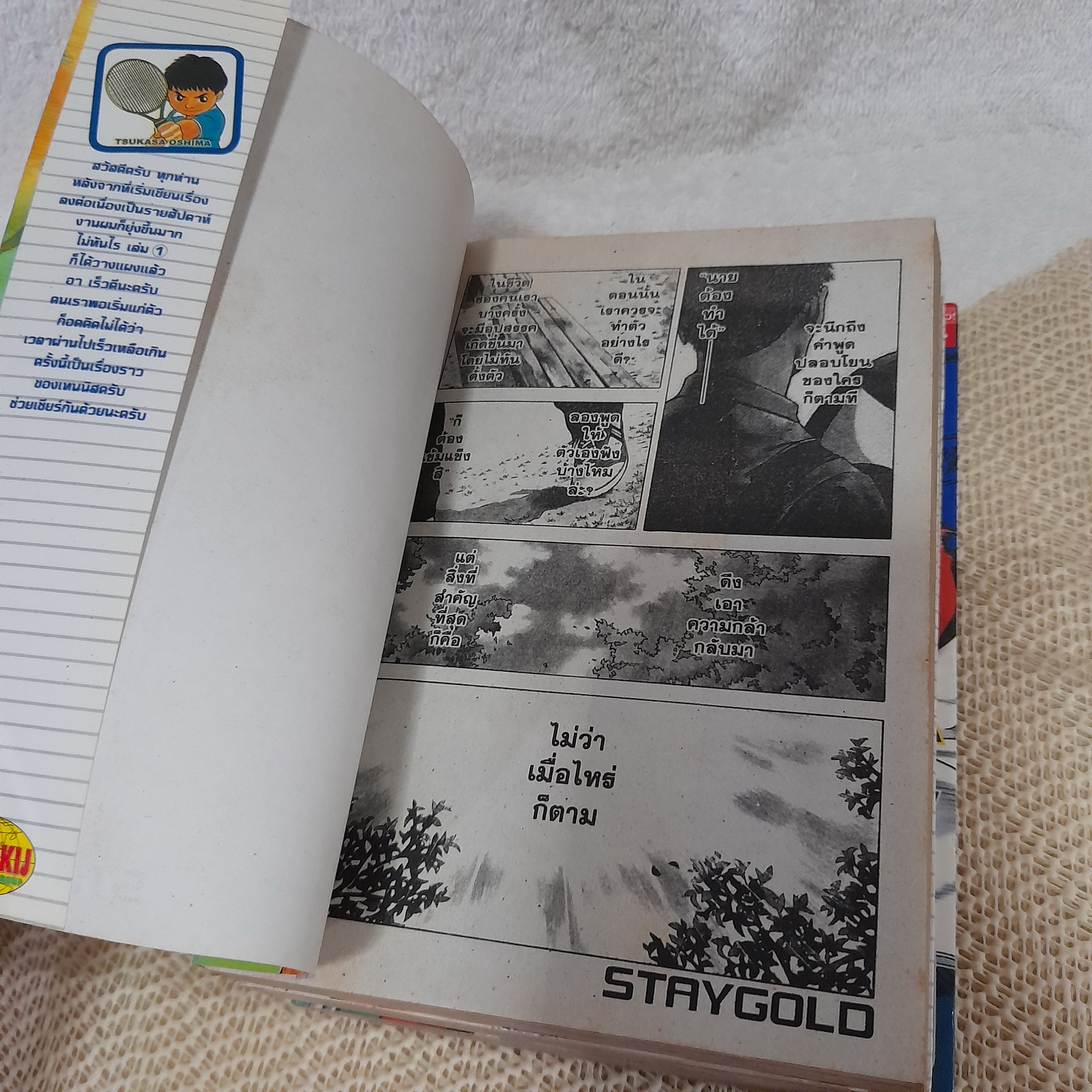 Stay Gold 1-3 จบ