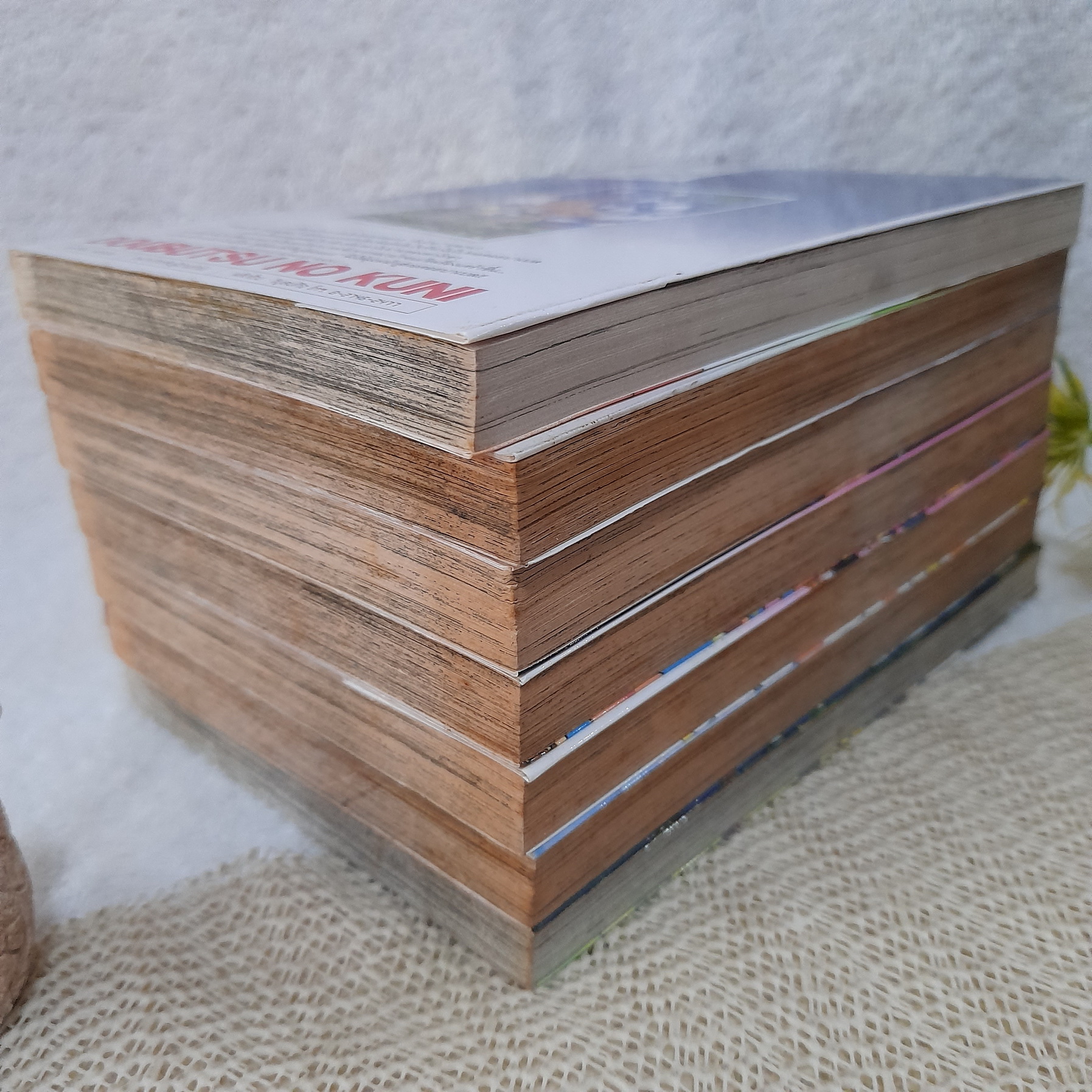 จิ๋วน้อยผจญภัย 1-6,8 ไม่จบ / ** ขาดเล่ม 7,9-14