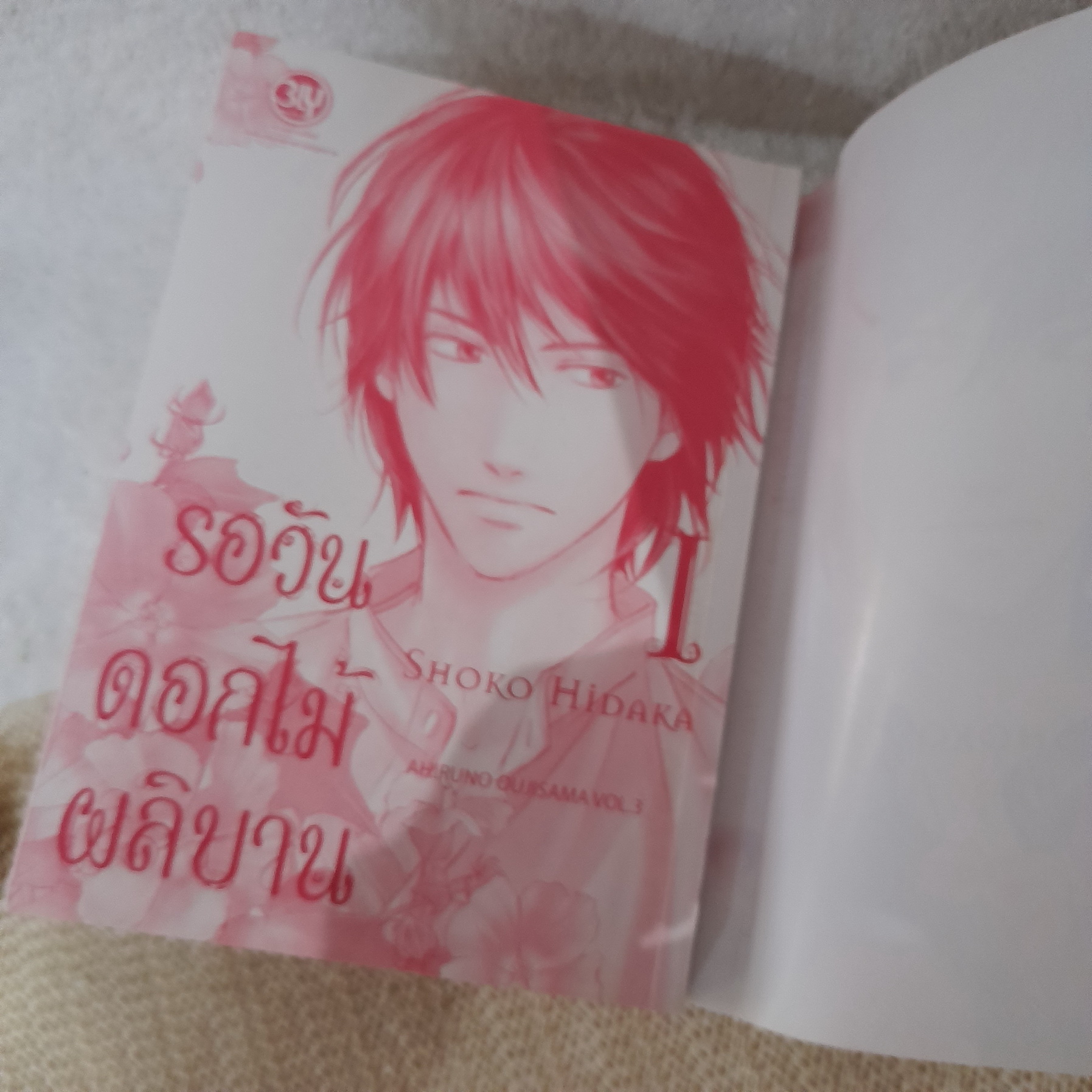 รอวันดอกไม้ผลิบาน 1-3 จบ