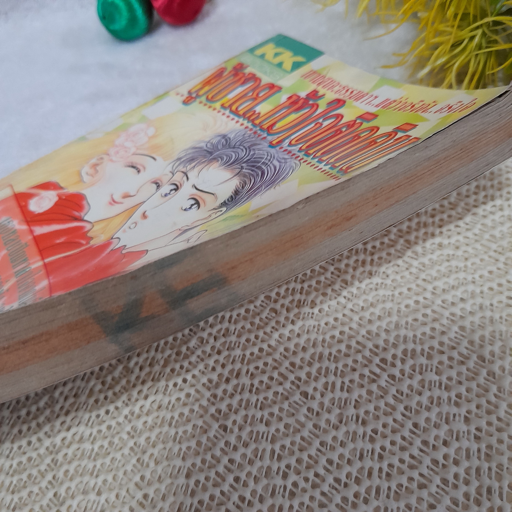 ผู้ชายหัวใจติดดิน