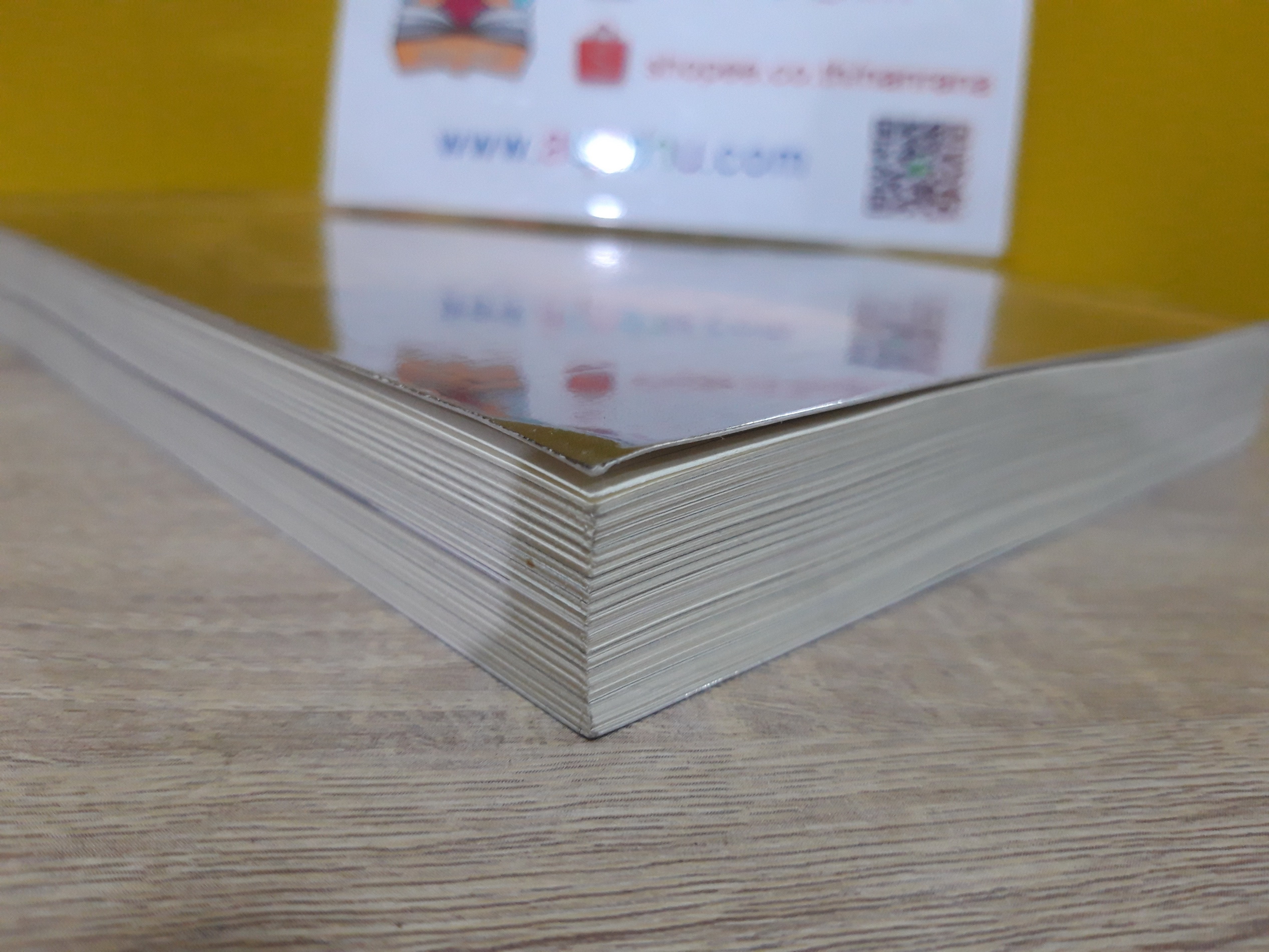 แม่ชีศันสนีย์ เสถียรสุต ก้าวย่างแห่งปัญญา / มนทิรา จูฑะพุทธิ