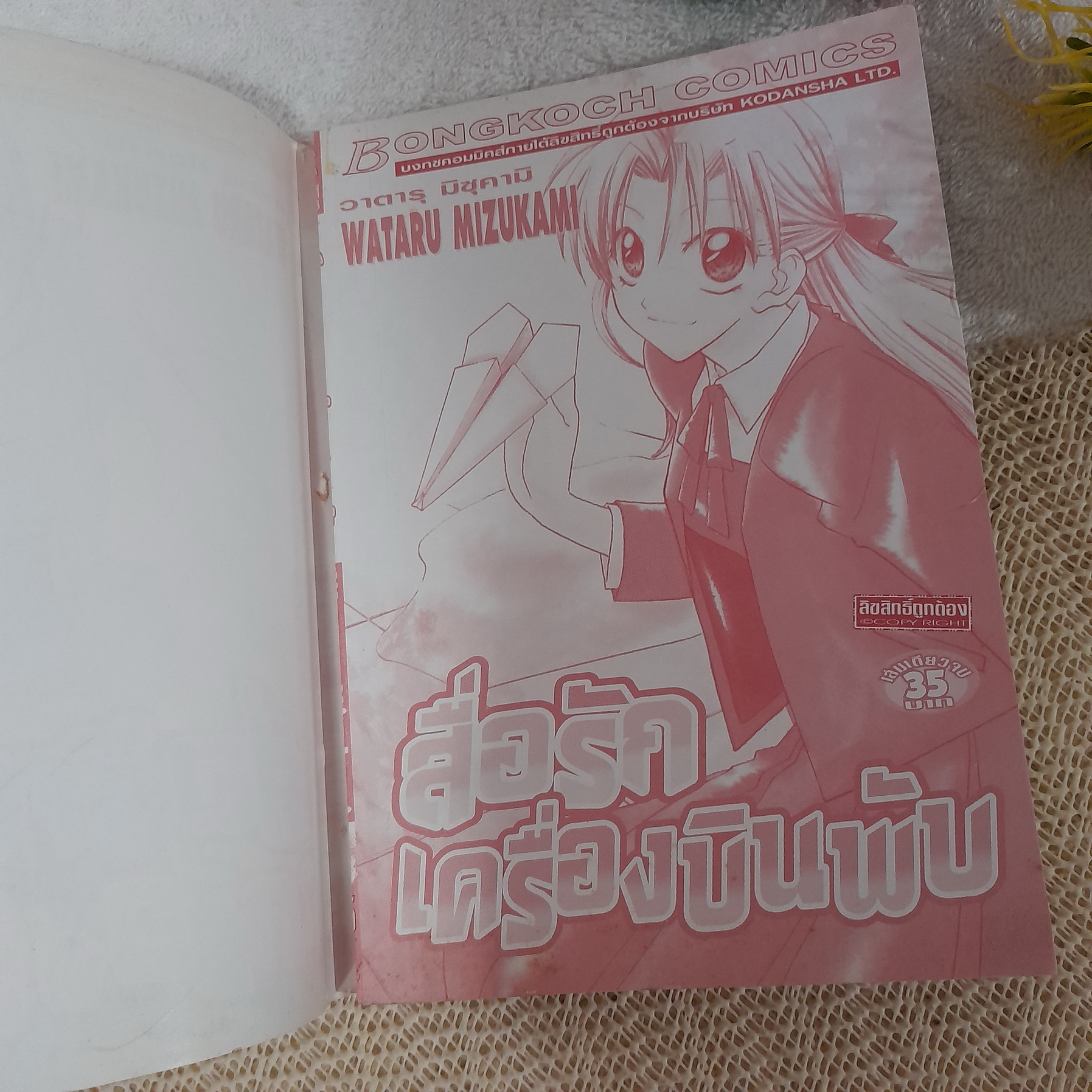 สื่อรักเครื่องบินพับ / Wataru Mizukami