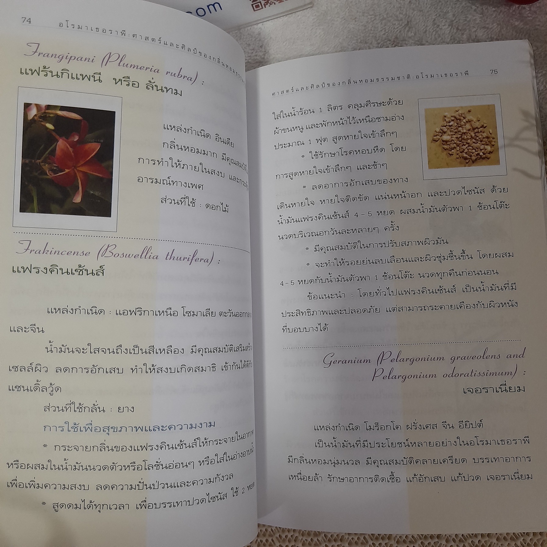 อโรมาเธอราพี / Freeya M.