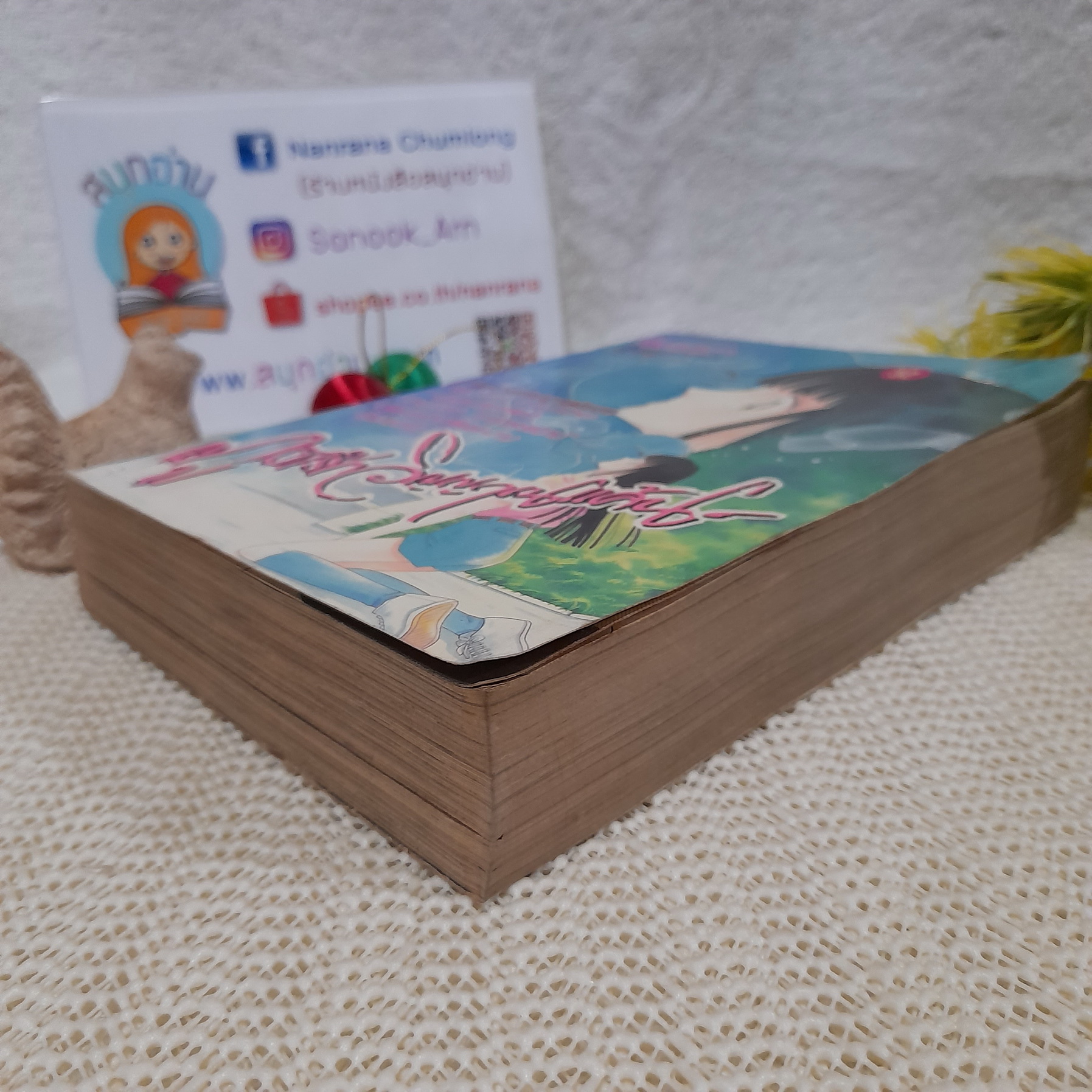 ภูติรักวิญญาณแค้น (เล่มเดียวจบ) / Shinohara Chie