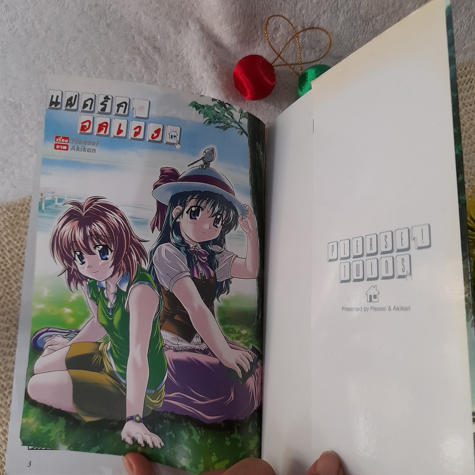 แฝดรักอลเวง