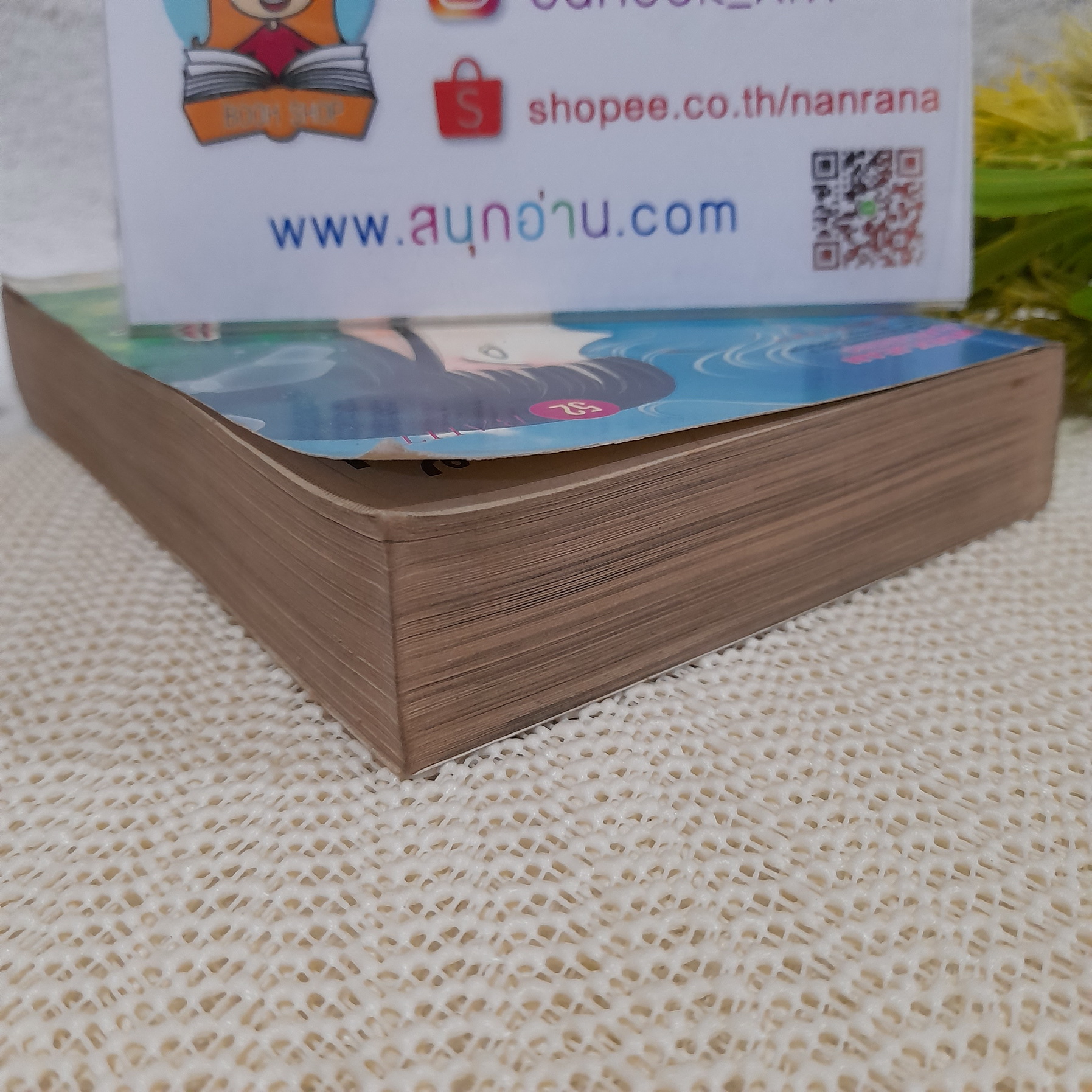 ภูติรักวิญญาณแค้น (เล่มเดียวจบ) / Shinohara Chie