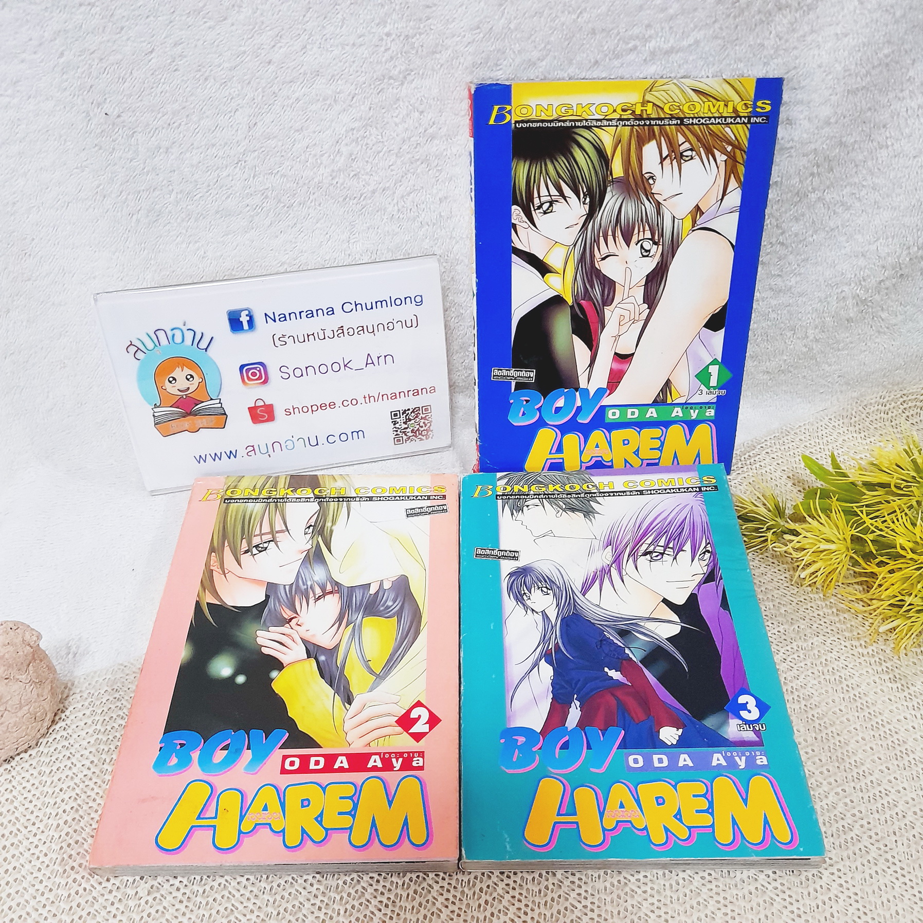 Boy Harem 1-3 จบ