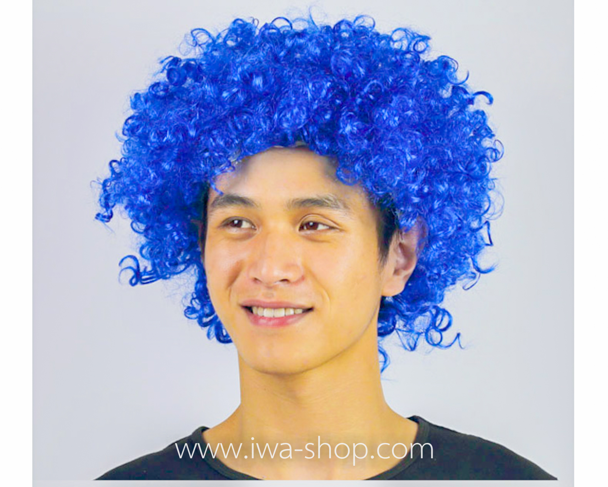 วิกผมหัวฟู วิกผมแฟนซี วิกผมปารตี้ วิกผมคอสเพลย์ วิกผมสี น้ำเงิน