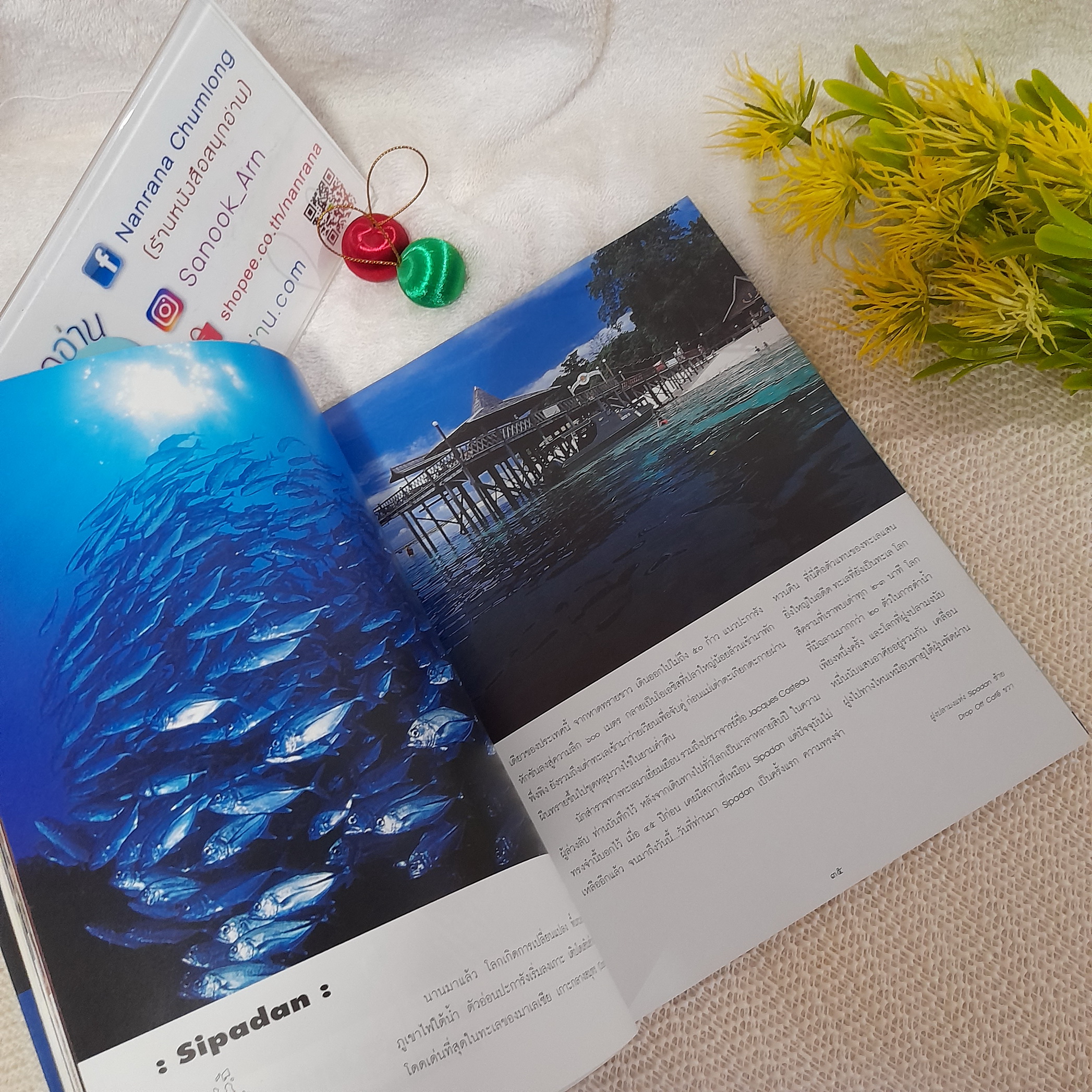 บอร์เนียว / ธรณ์ ธำรงนาวาสวัสดิ์