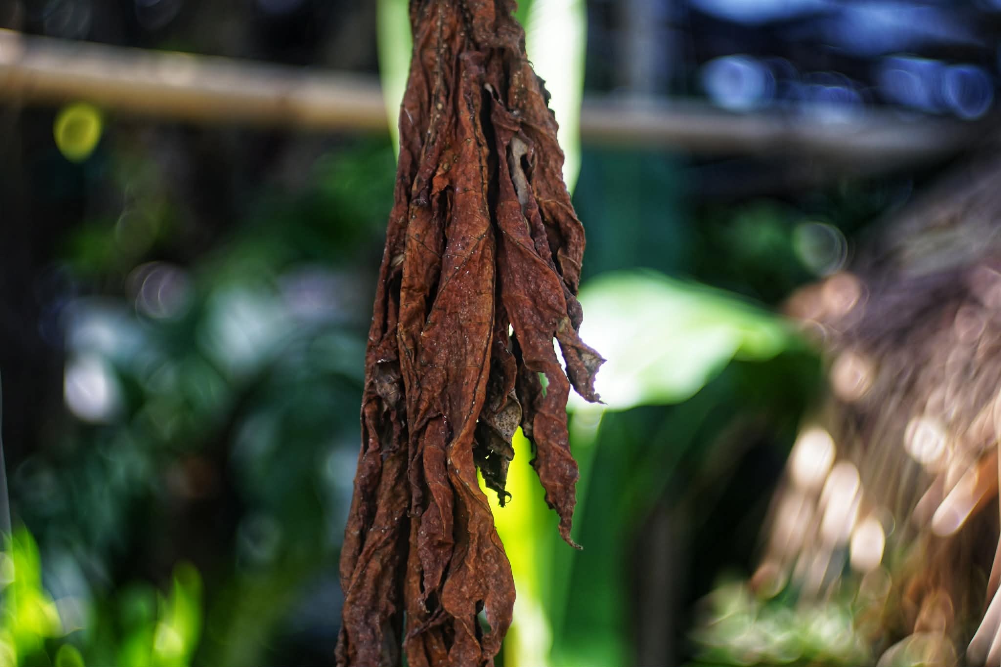 KOWA SUPER PROMINAR 63.5MM.F1.9 MODIFIED SONY E MOUNT