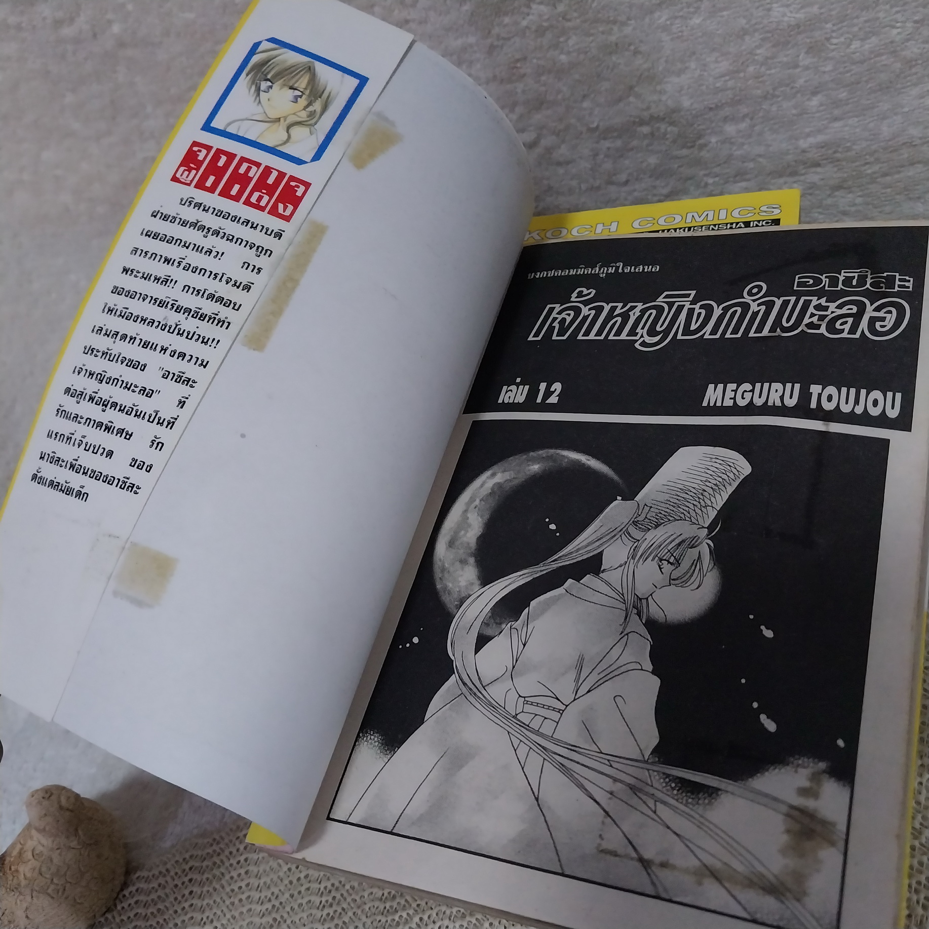 อาซึสะ เจ้าหญิงกำมะลอ 1-12 จบ