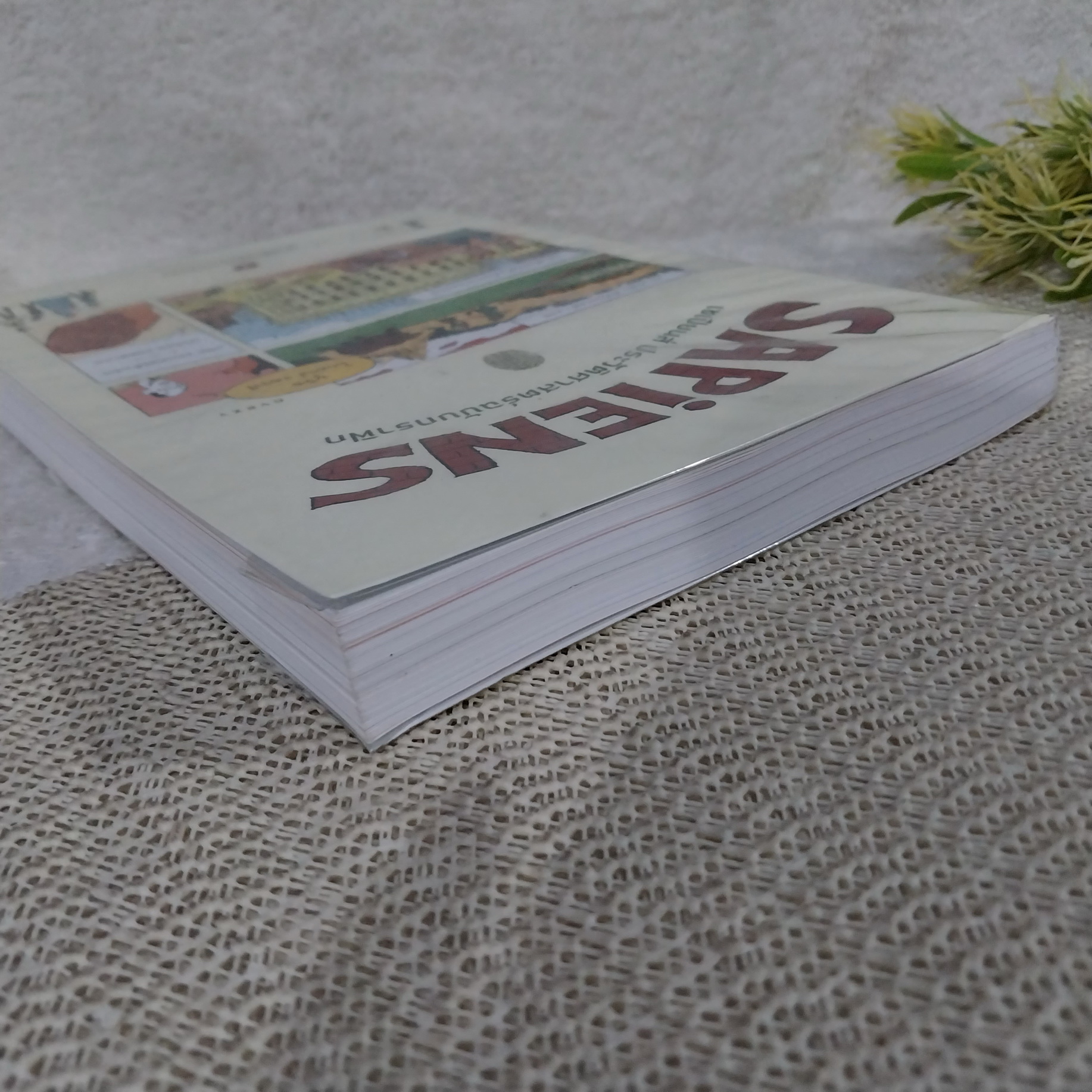 SAPIENS เซเปียนส์ ประวัติศาสตร์ฉบับกราฟิก : เสาหลักแห่งอารยธรรม เล่ม 2