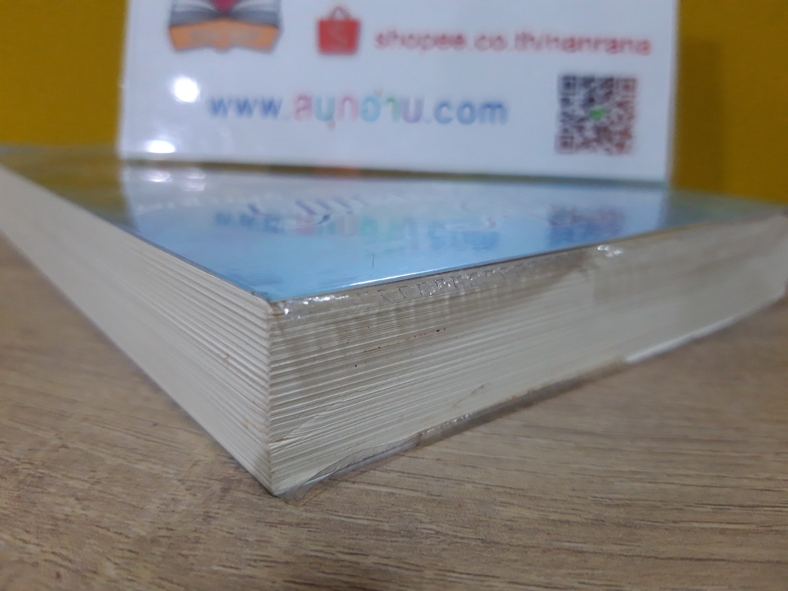 สลักรักไว้ที่ปลายฟ้า / ชุติกานต์