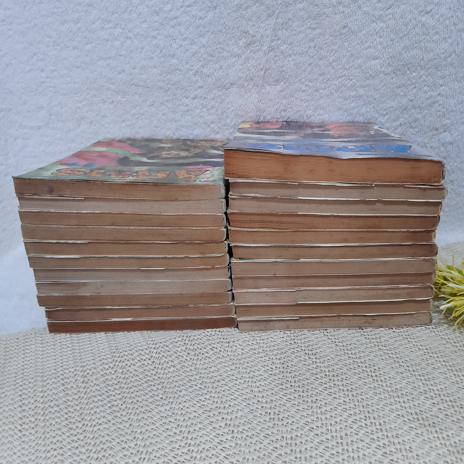 ARMS อาร์มส์ หัตถ์เทพมืออสูร 1-22 จบ