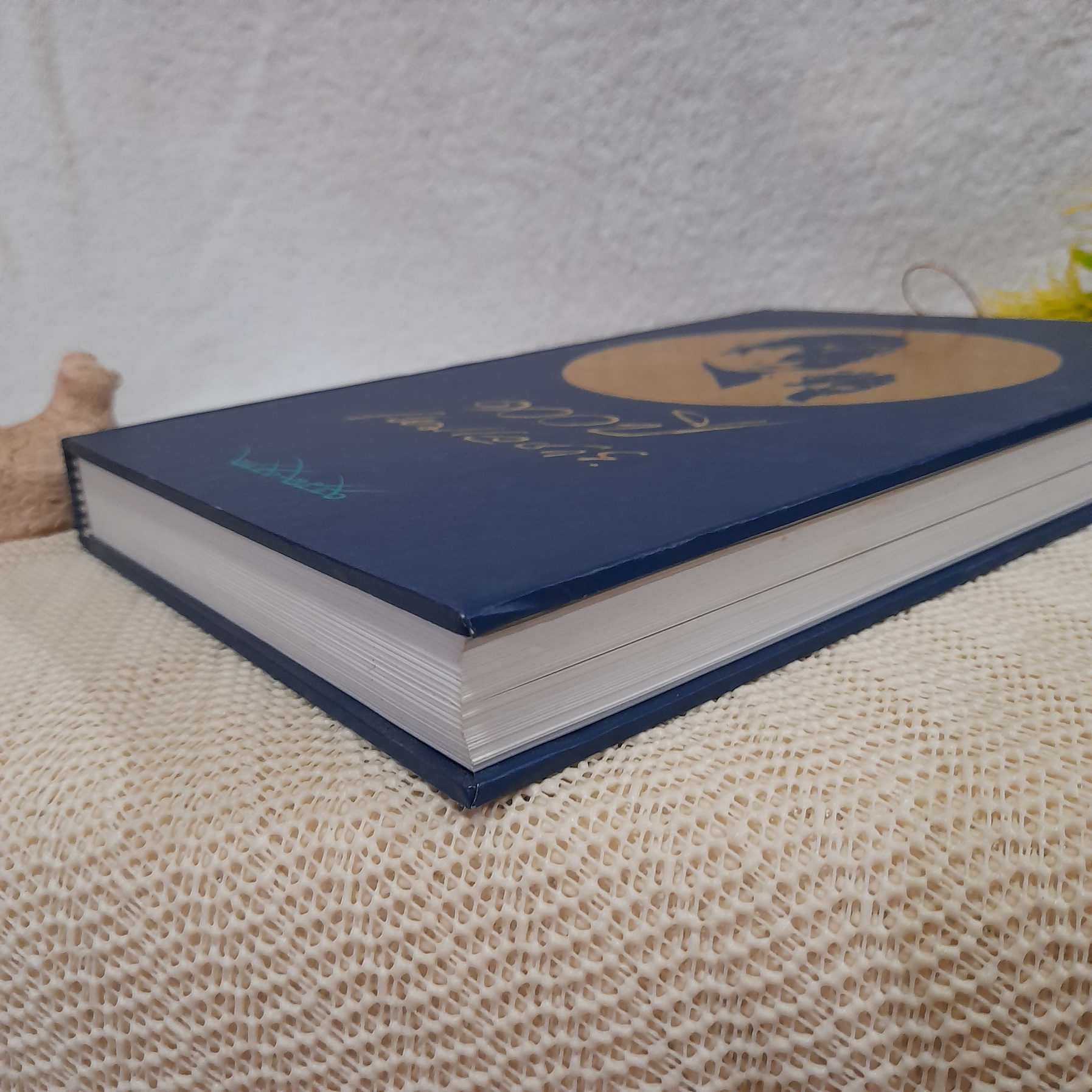 หนังสือ 100 ปี เหม เวชกร 2446-2546 (ปกแข็ง) + กล่อง