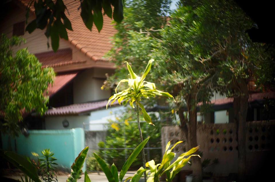 CANON TV LENS PHF 35MM.F1.2 MODIFY M4/3 MOUNT