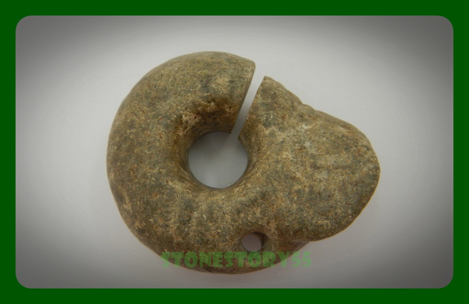 ตัวอ่อนมังกร