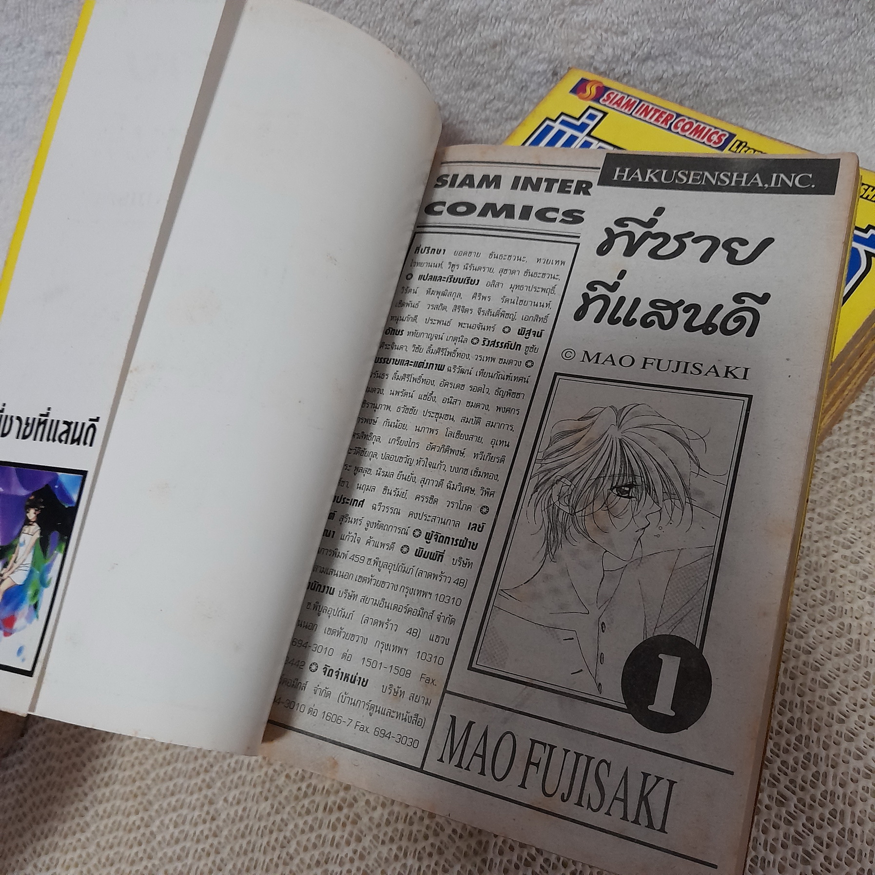 พี่ชายที่แสนดี 1-6 ไม่จบ / * ขาดเล่ม 7,8