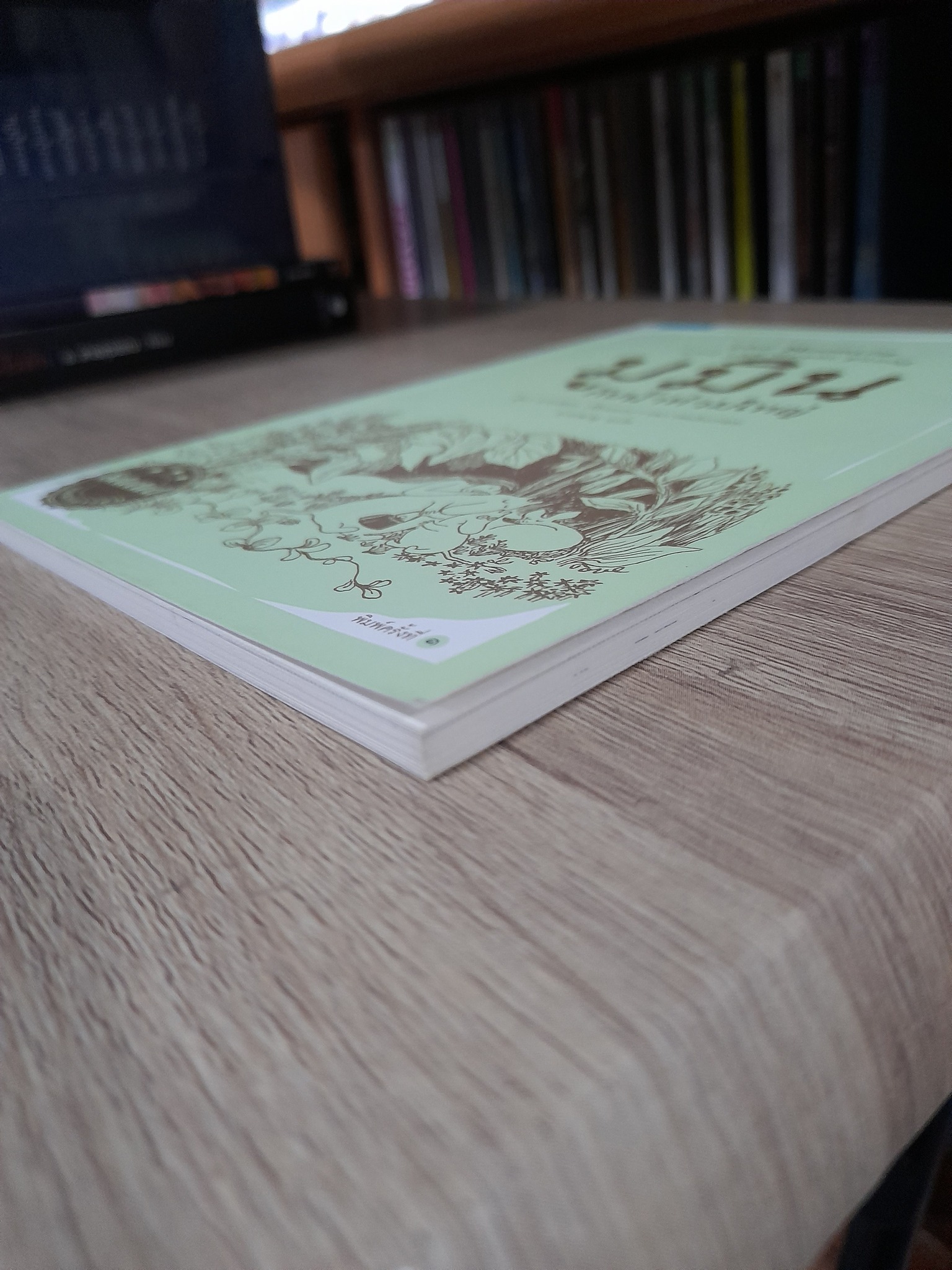 มูมิน กับน้ำท่วมใหญ่ (The Moomins and the Great Flood)