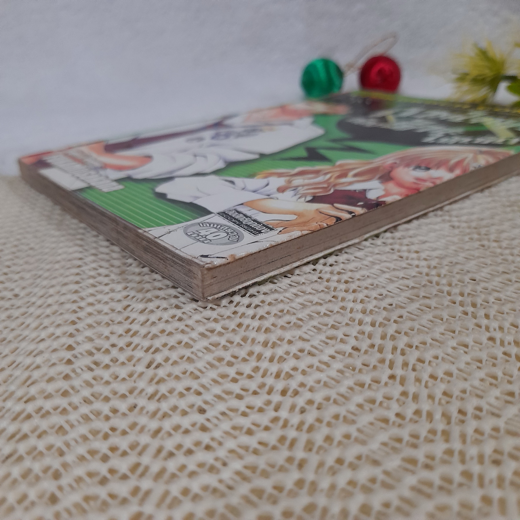 กวนใจนักต้องรักซะให้เข็ด / Fukami Sakana