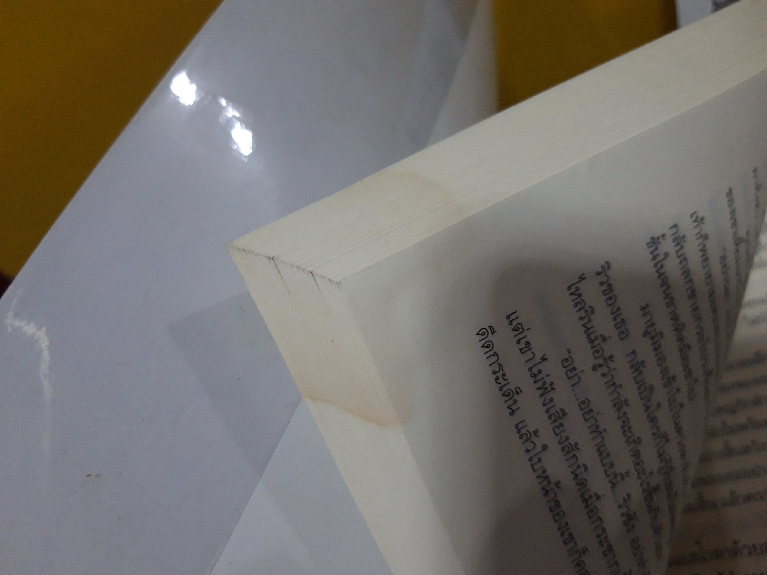 รอยฝันตะวันเดือด / ณารา