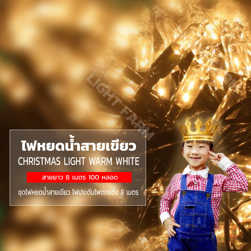 ไฟหยดน้ำสายเขียวสีวอม ไวท์ ไฟประดับตกแต่ง ไฟหยดน้ำสายเขียว