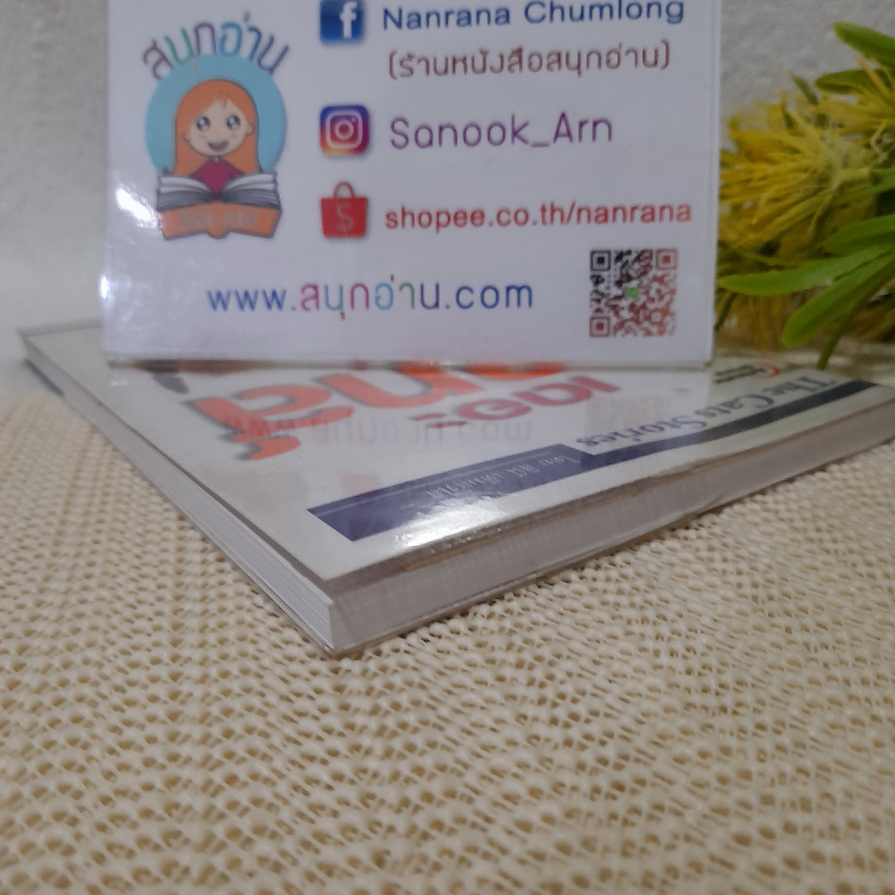 เดอะ แคทส์ สตอรี่